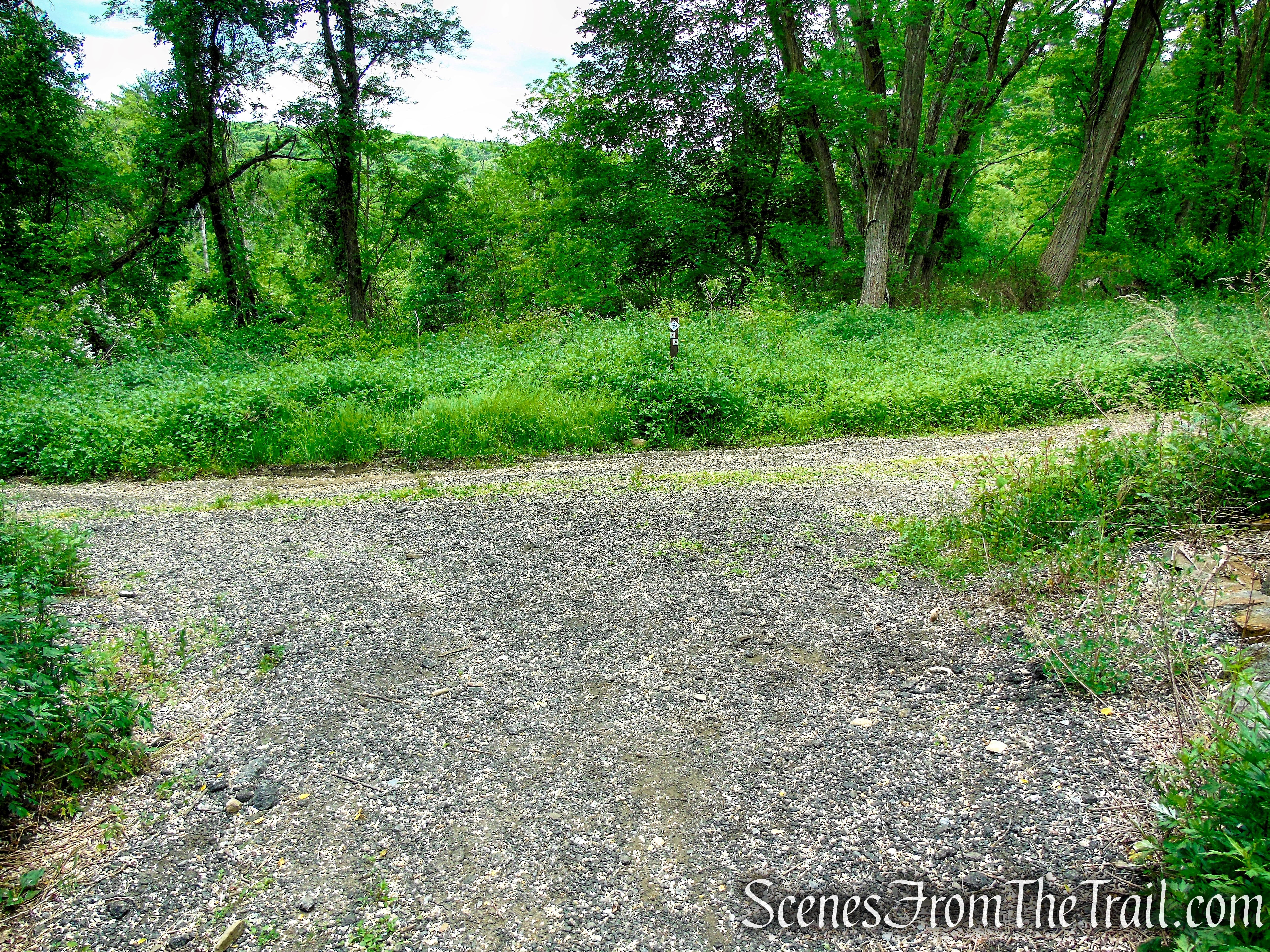 Turn left to remain on the Rampo-Dunderberg Trail