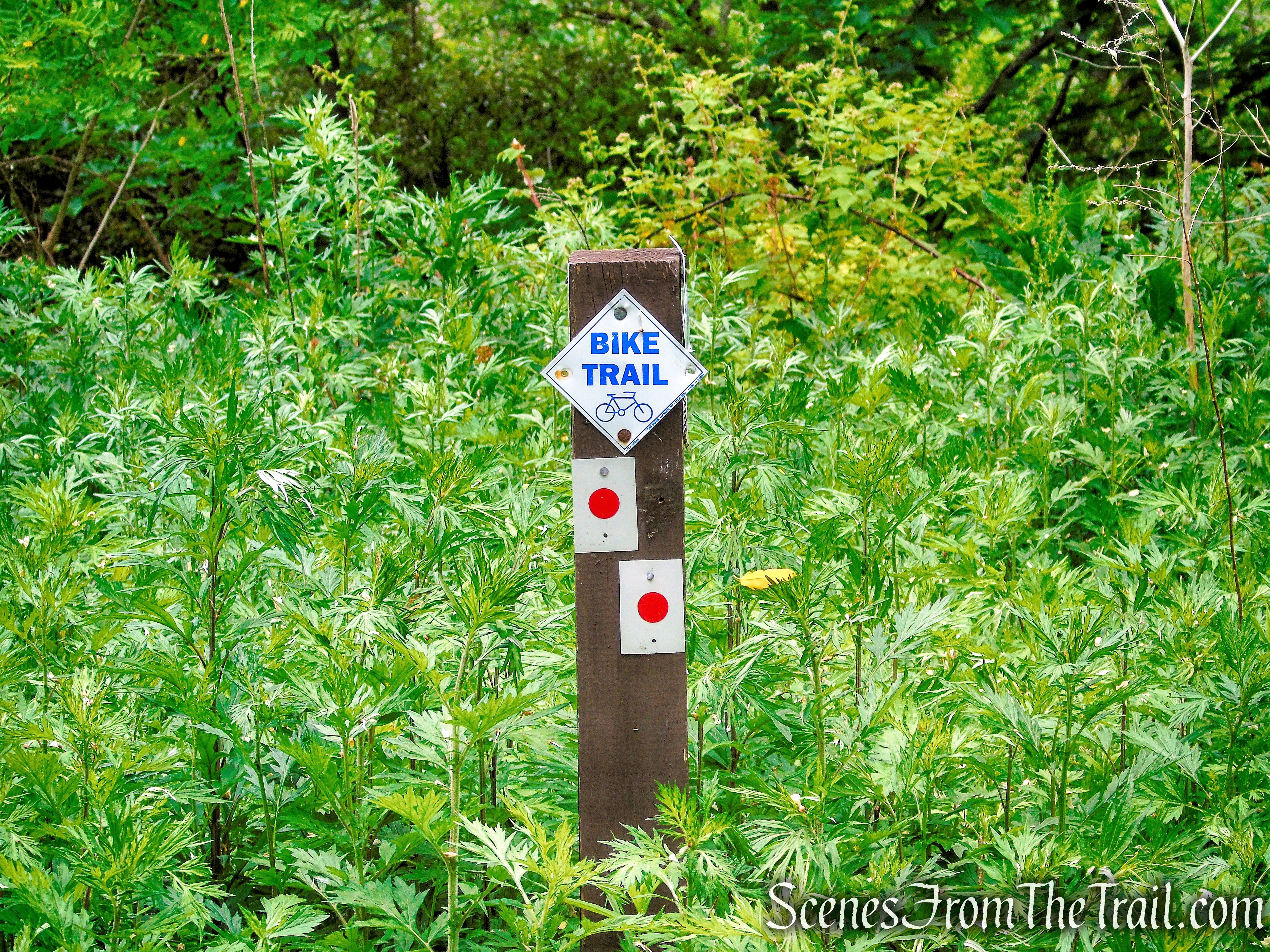 Turn left to remain on the Rampo-Dunderberg Trail