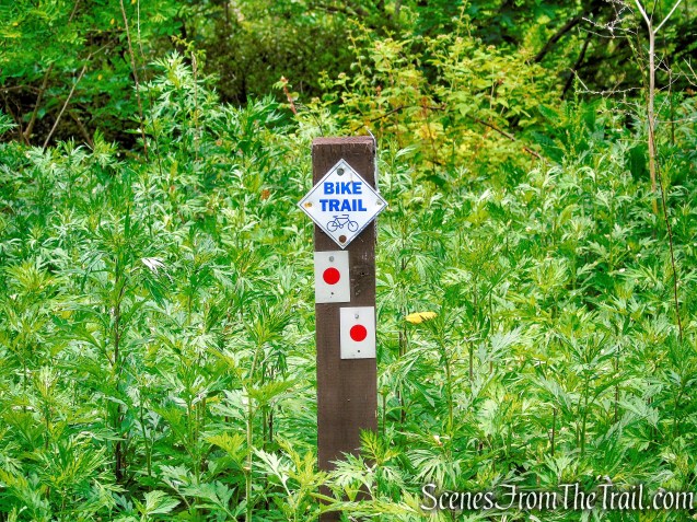 Turn left to remain on the Rampo-Dunderberg Trail