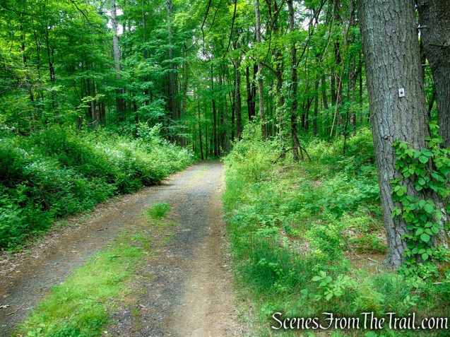 Rampo-Dunderberg Trail – Anthony Wayne Recreation Area