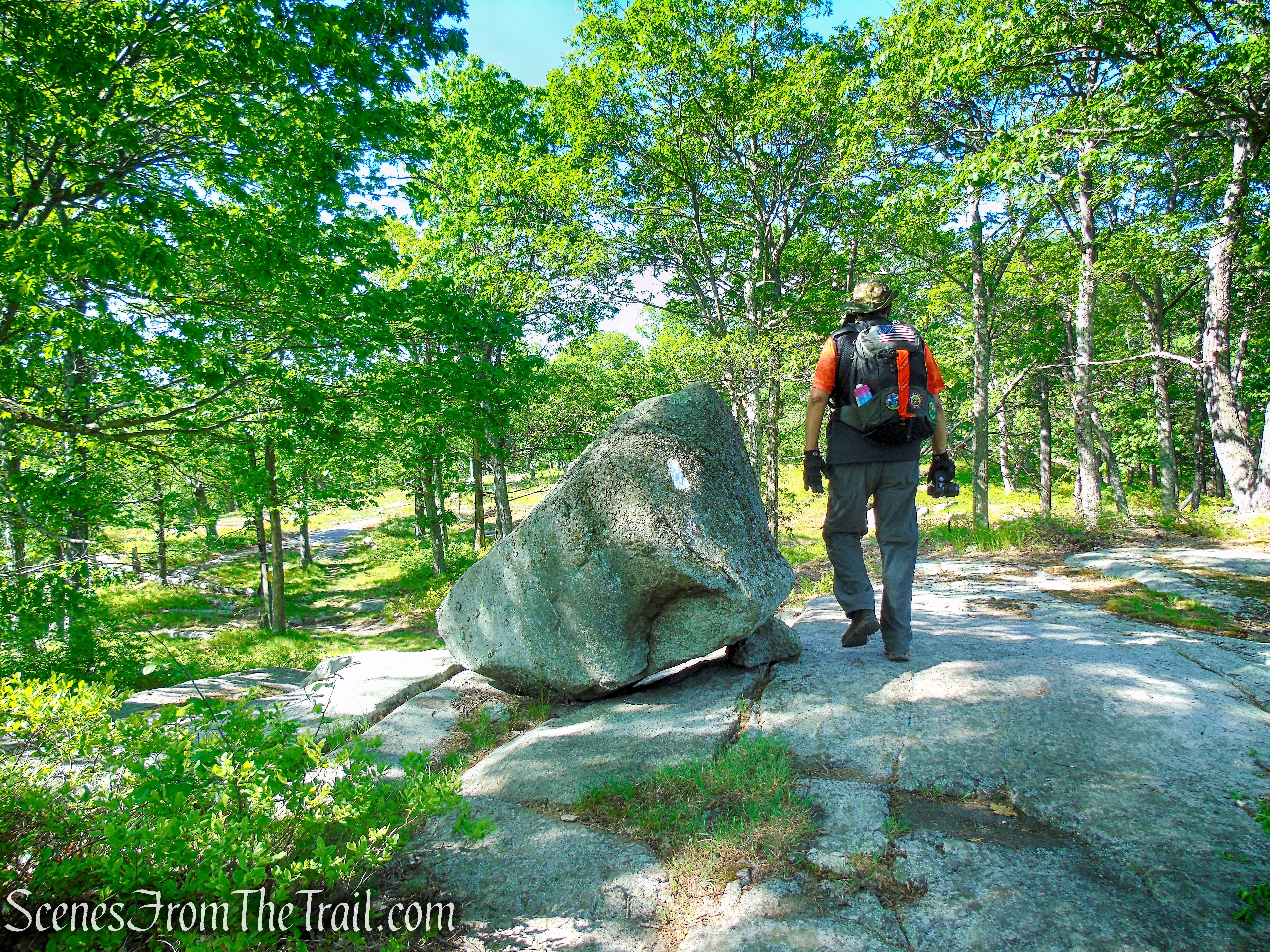 AT-Long Path Loop from Tiorati Picnic Area – Harriman State Park