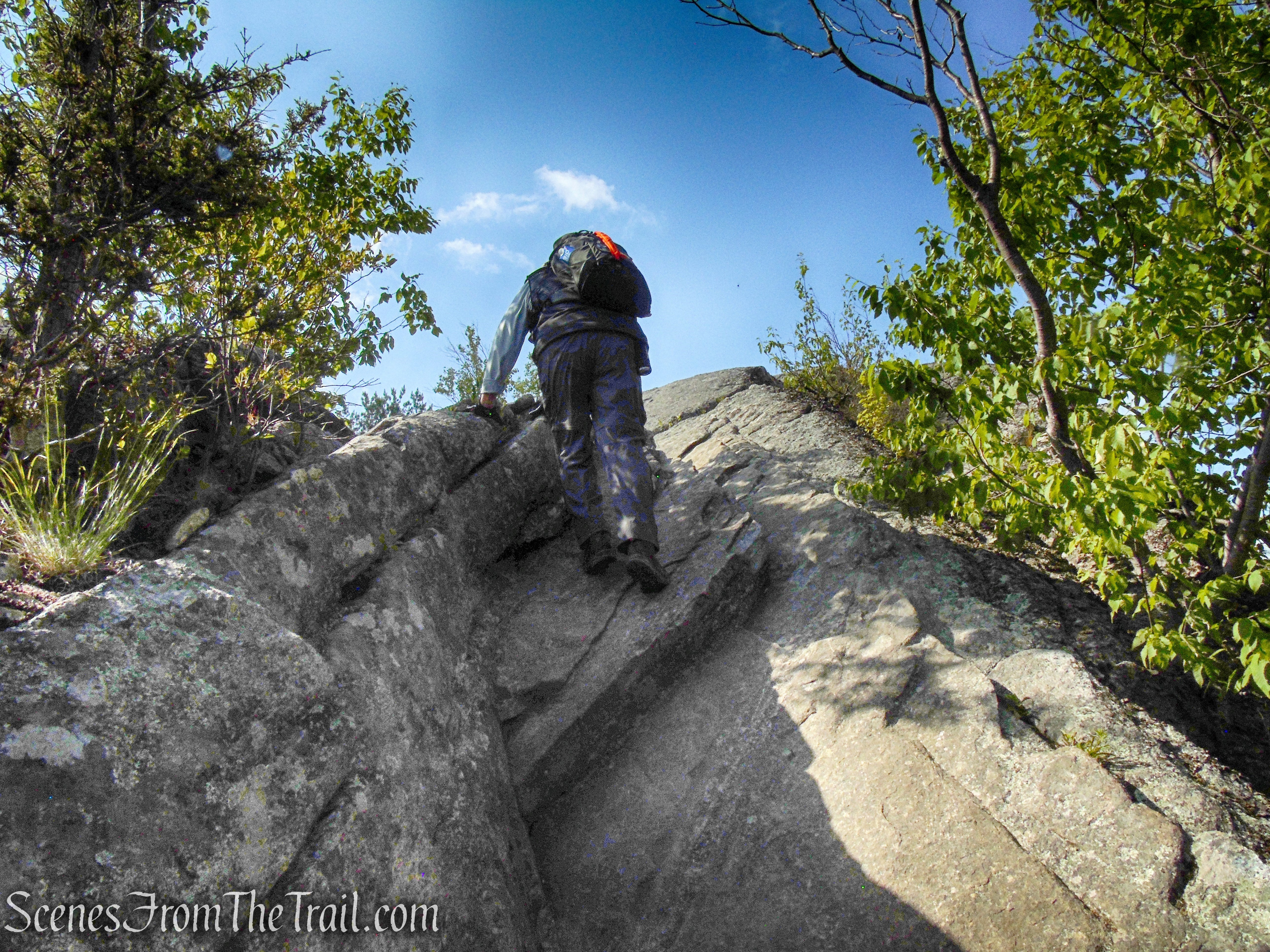 Coaligned AT/Timp-Torne Trails – West Mountain