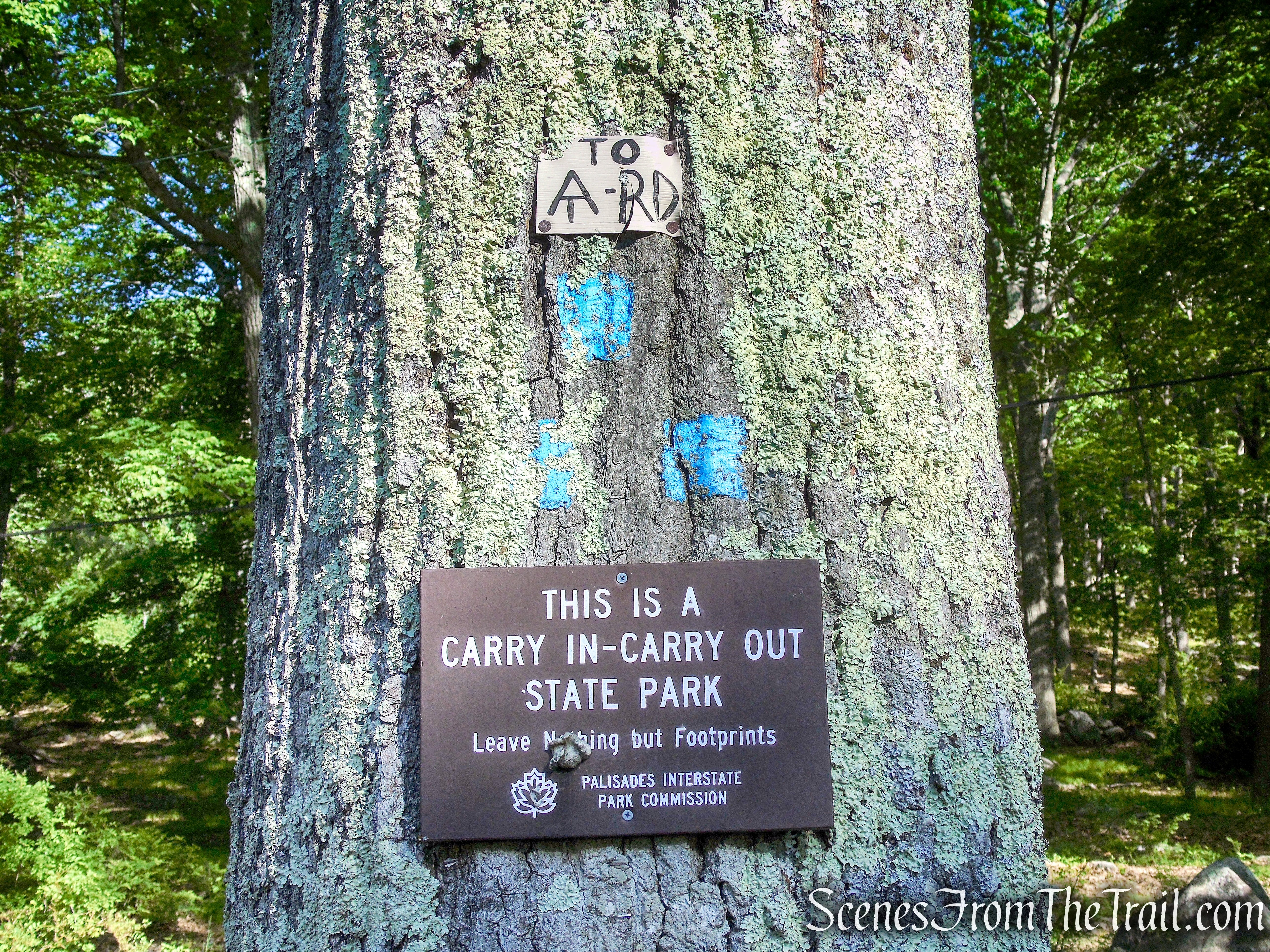 Lake Tiorati Trail - Harriman State Park