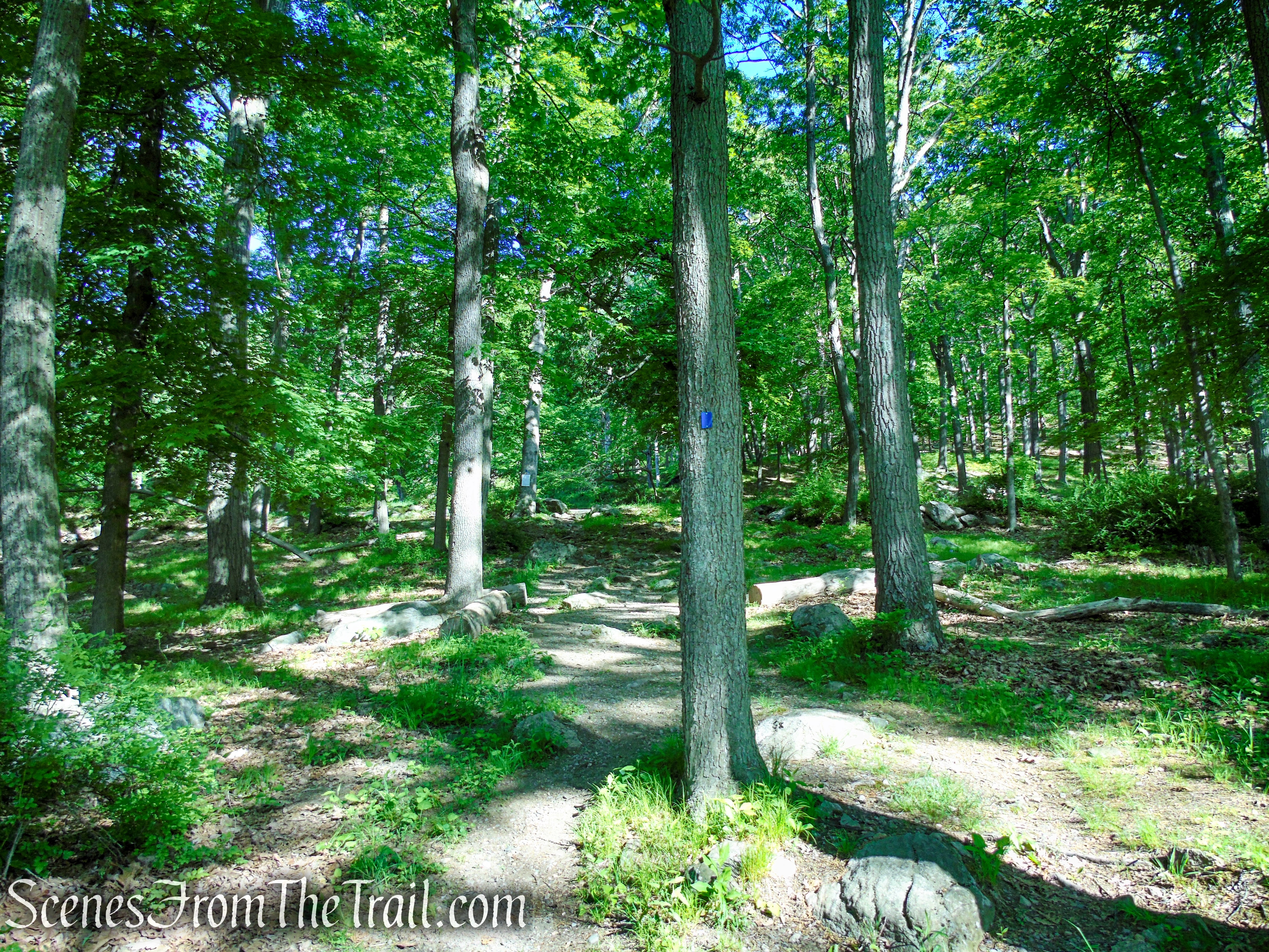 Lake Tiorati Trail - Harriman State Park