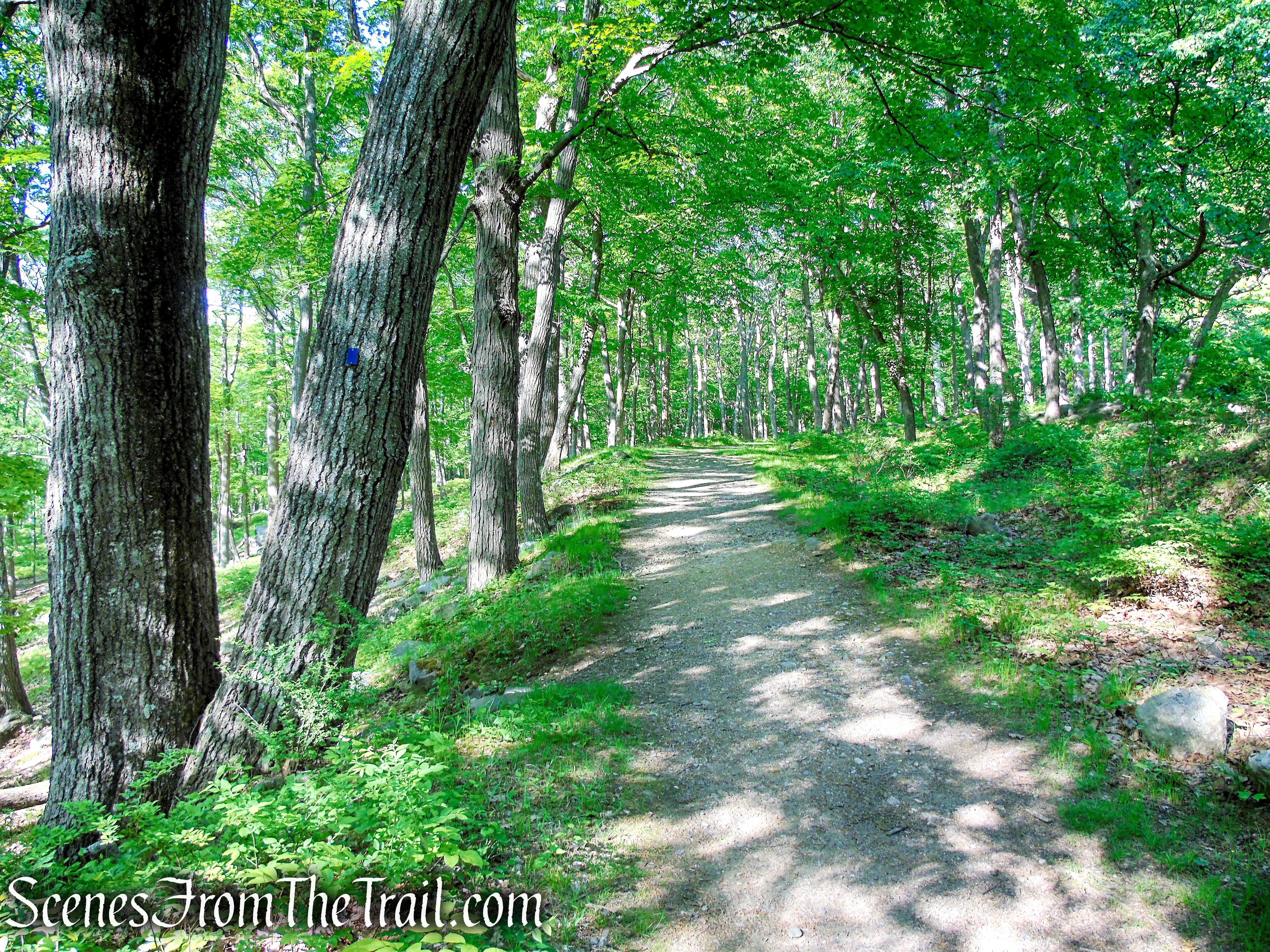 Lake Tiorati Trail - Harriman State Park