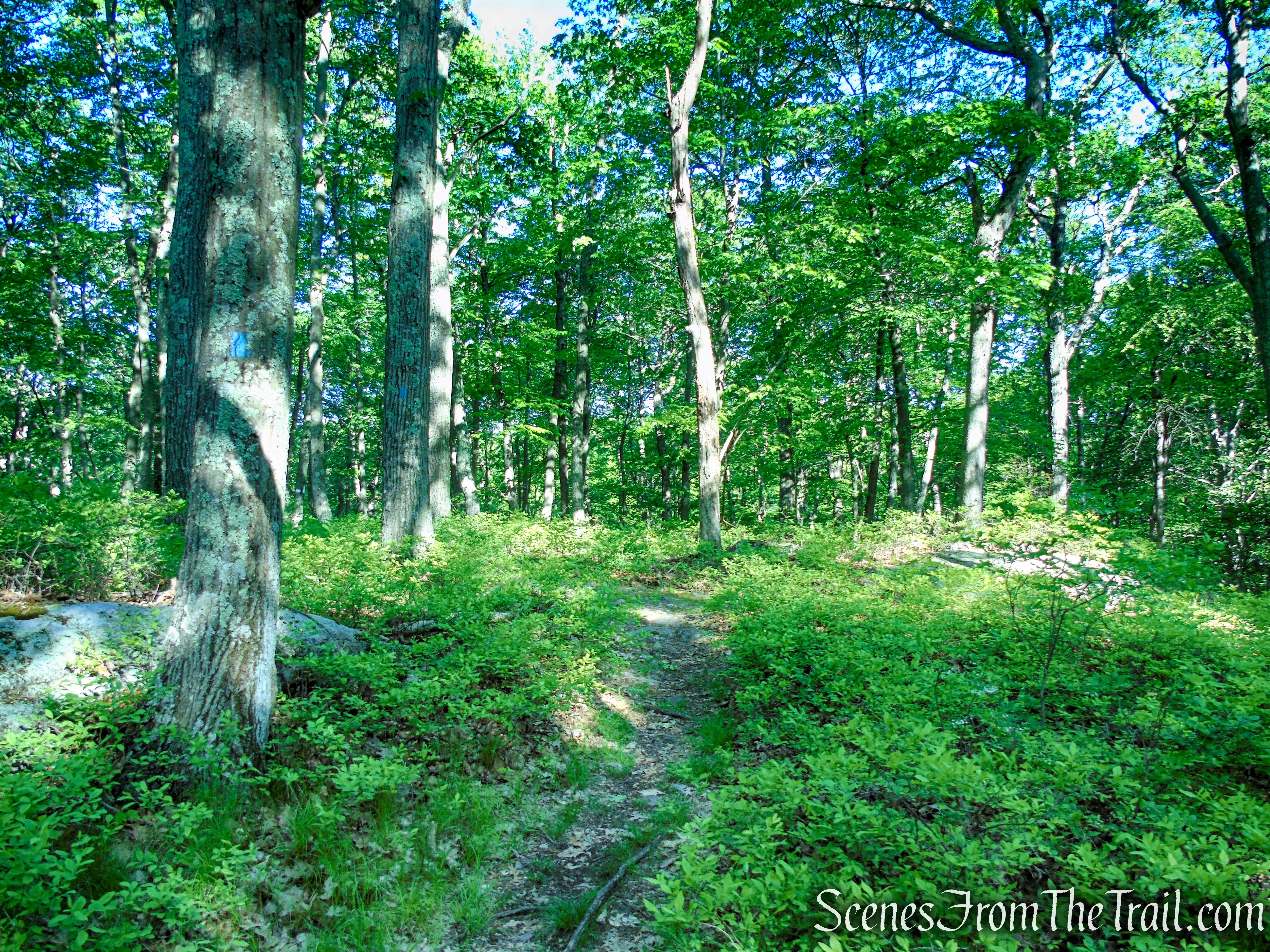 Lake Tiorati Trail - Harriman State Park