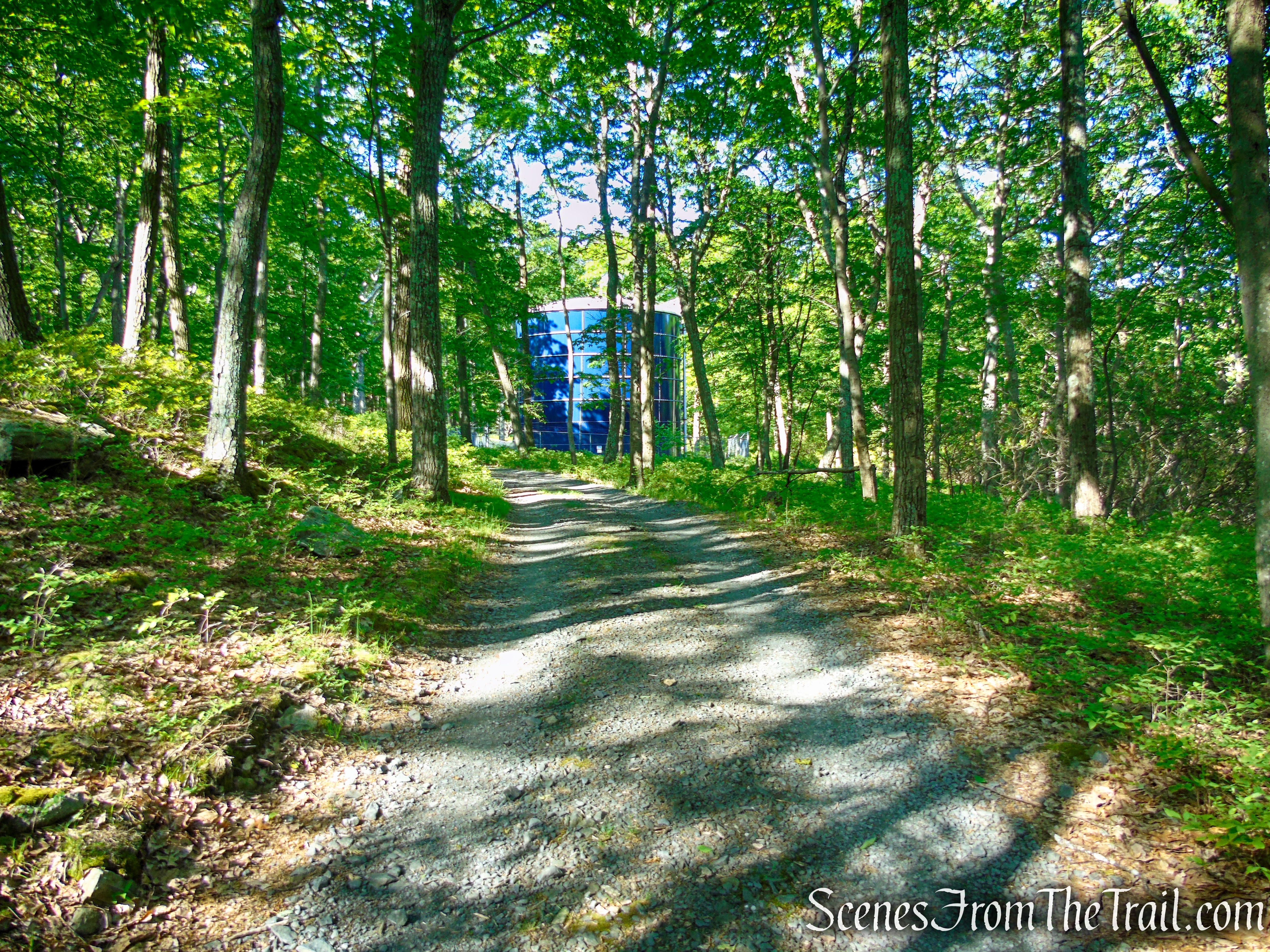 Coaligned AT/R-D trails