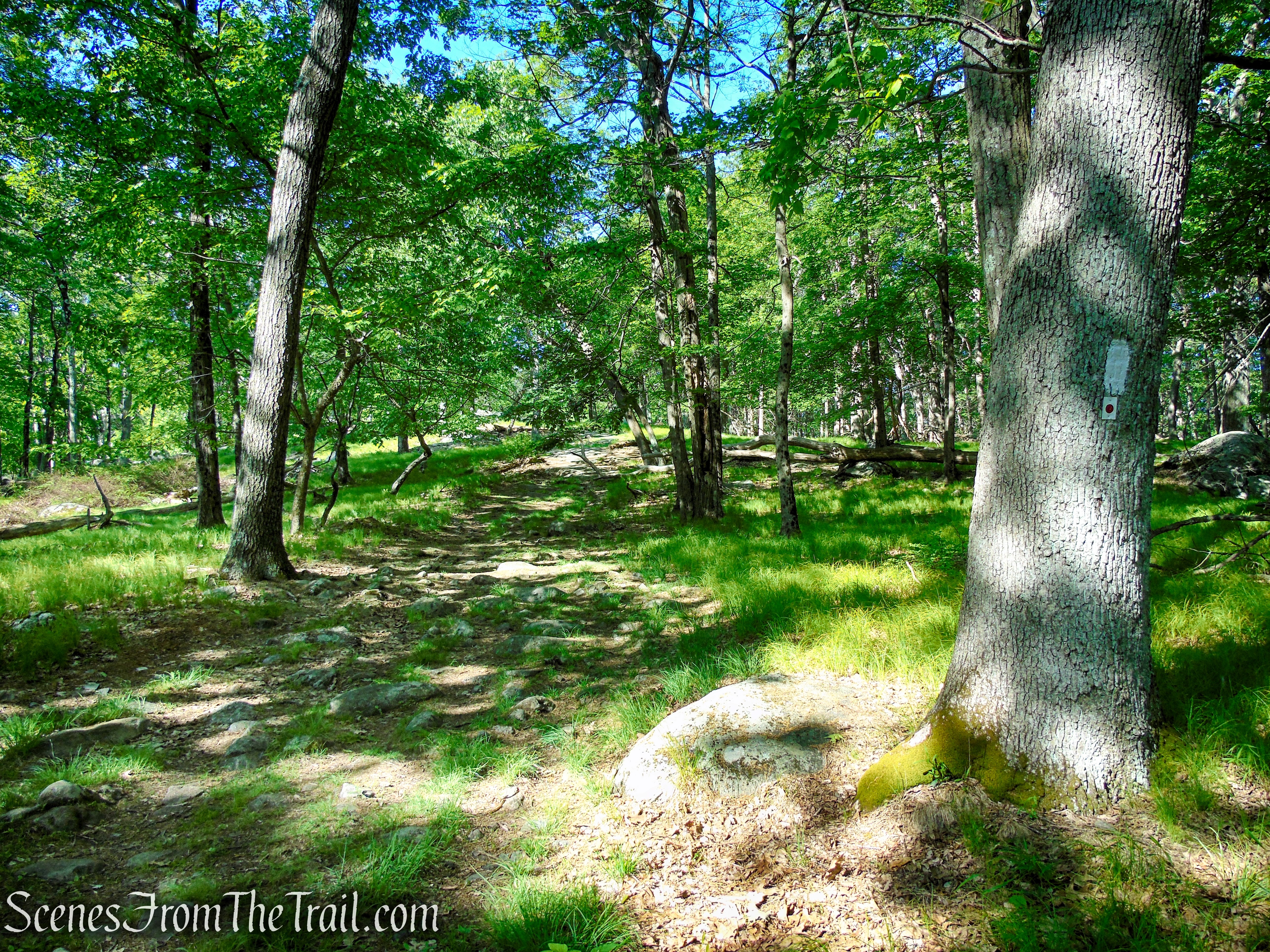 Coaligned AT/R-D trails - Fingerboard Mountain