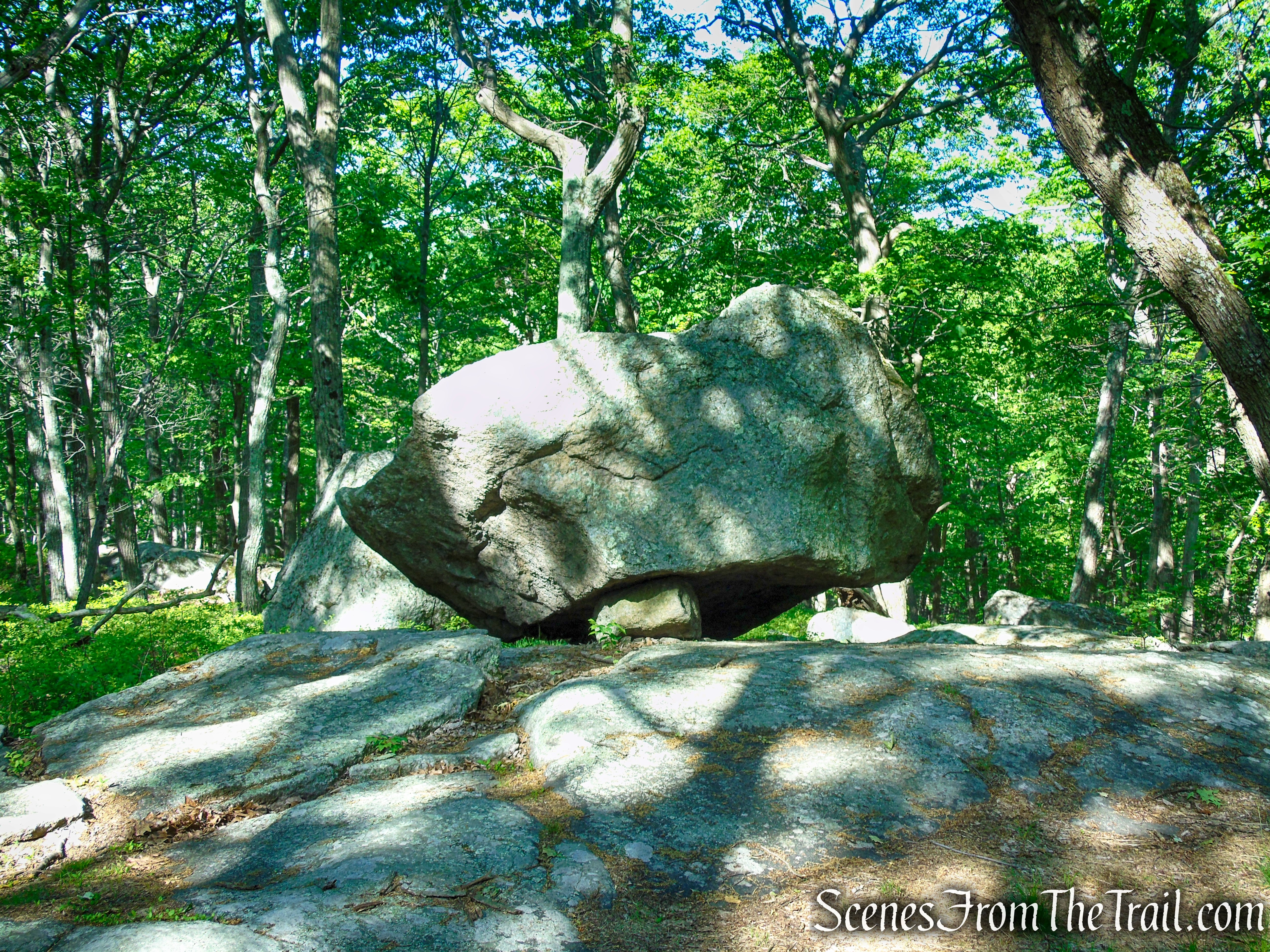 Coaligned AT/R-D trails - Fingerboard Mountain