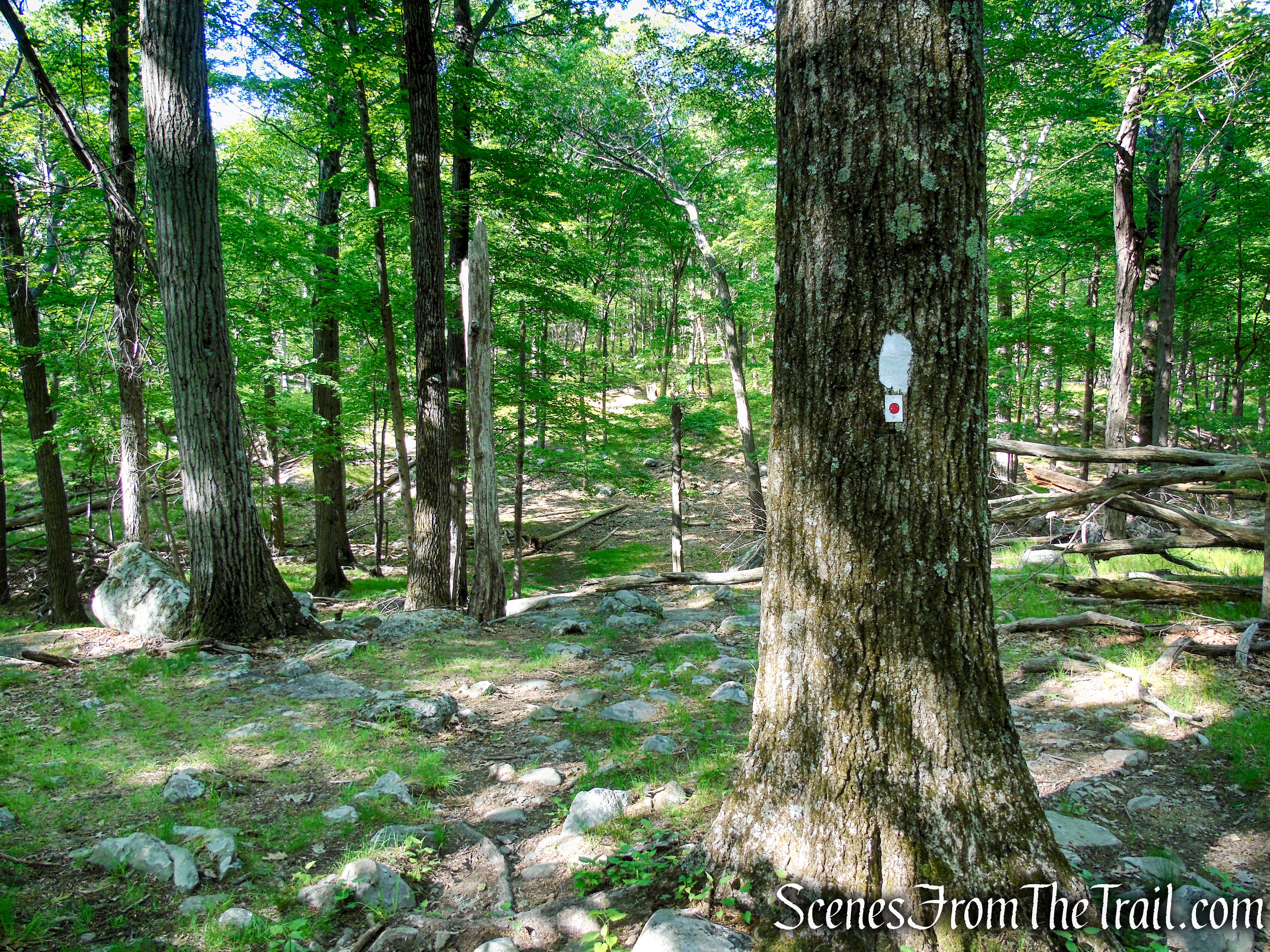 Coaligned AT/R-D trails - Fingerboard Mountain