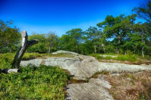 Coaligned AT/R-D trails - Fingerboard Mountain