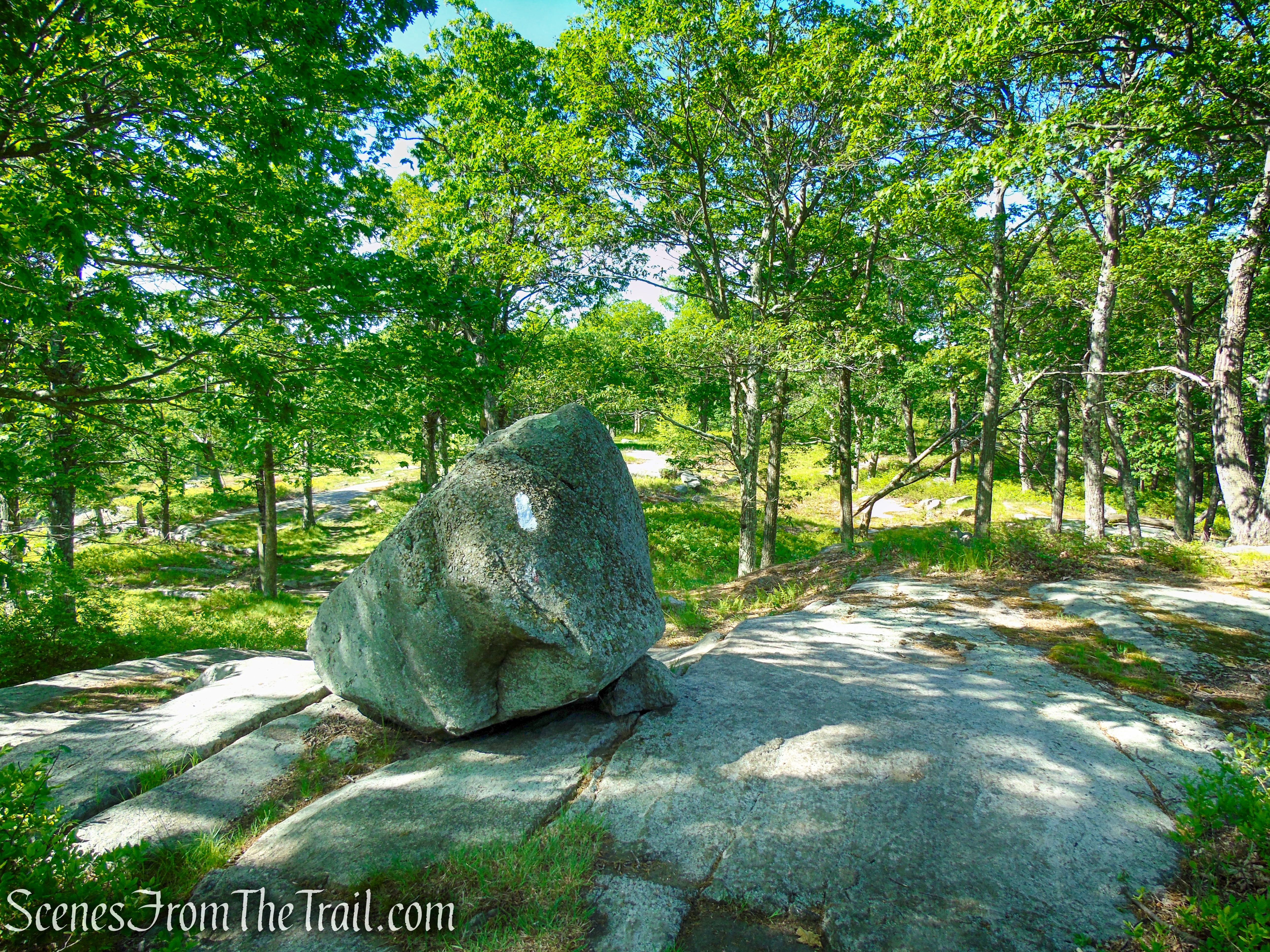 Coaligned AT/R-D trails - Fingerboard Mountain