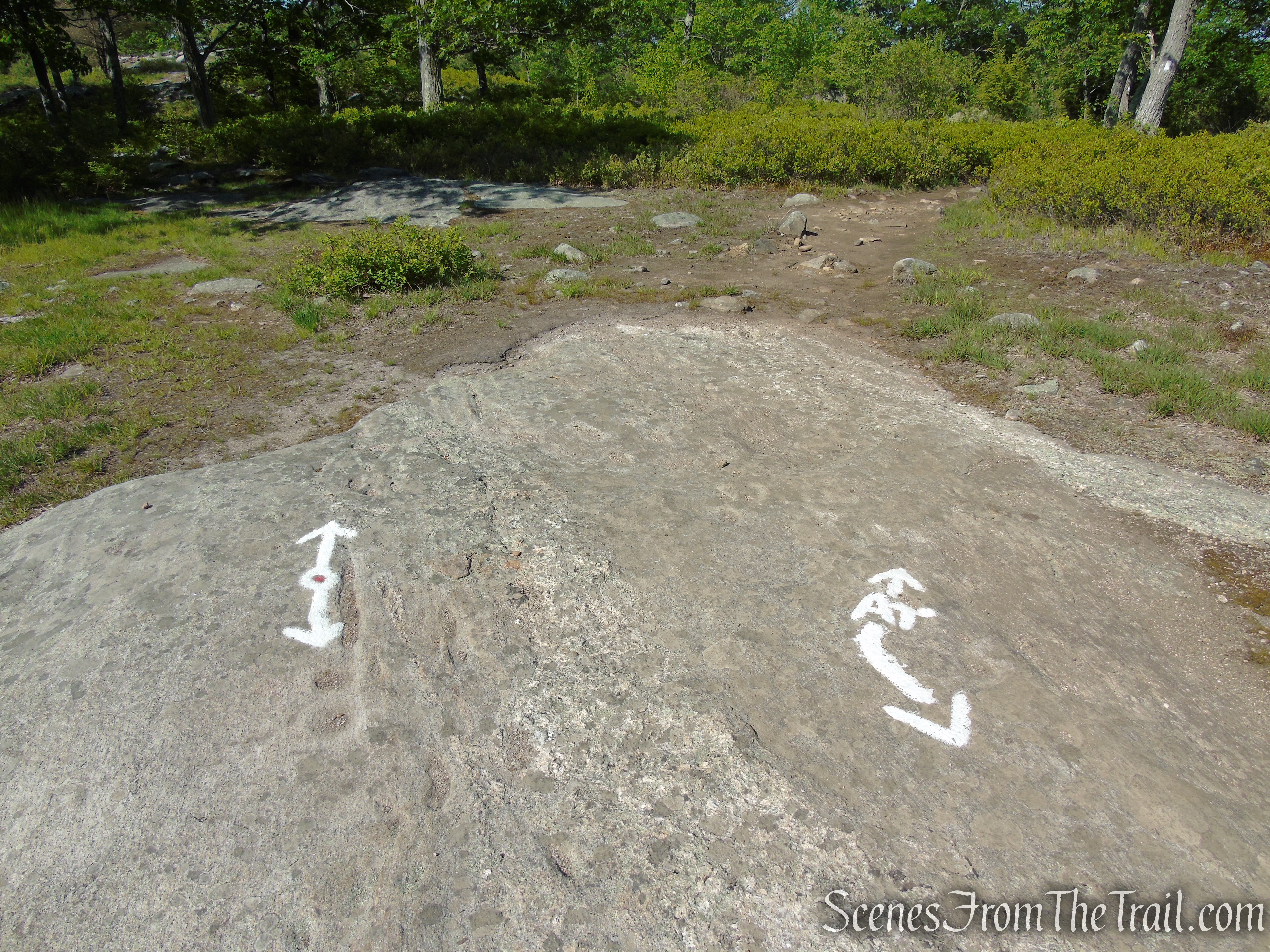 Bear right on the Appalachian Trail