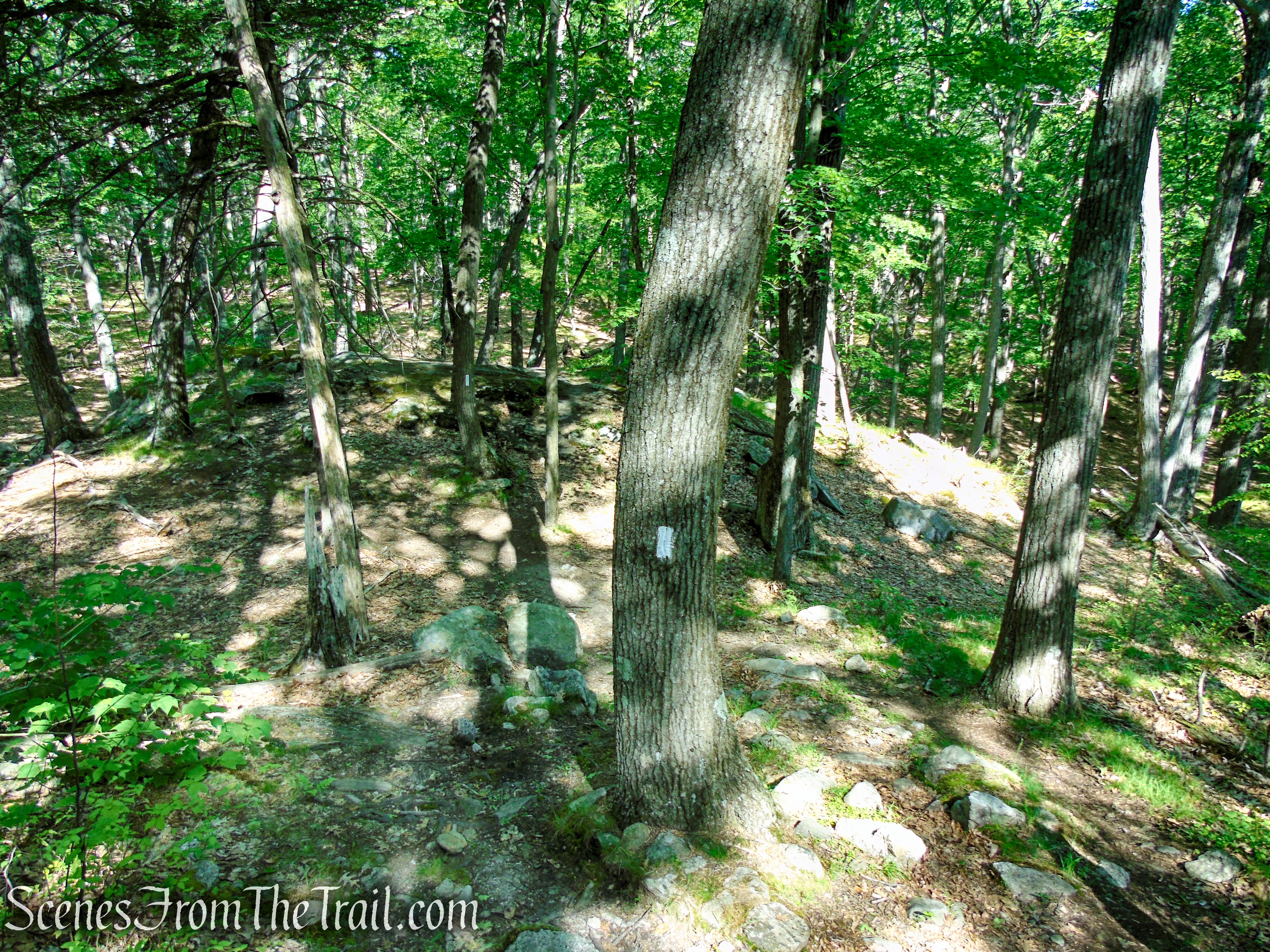 Appalachian Trail - Fingerboard Mountain