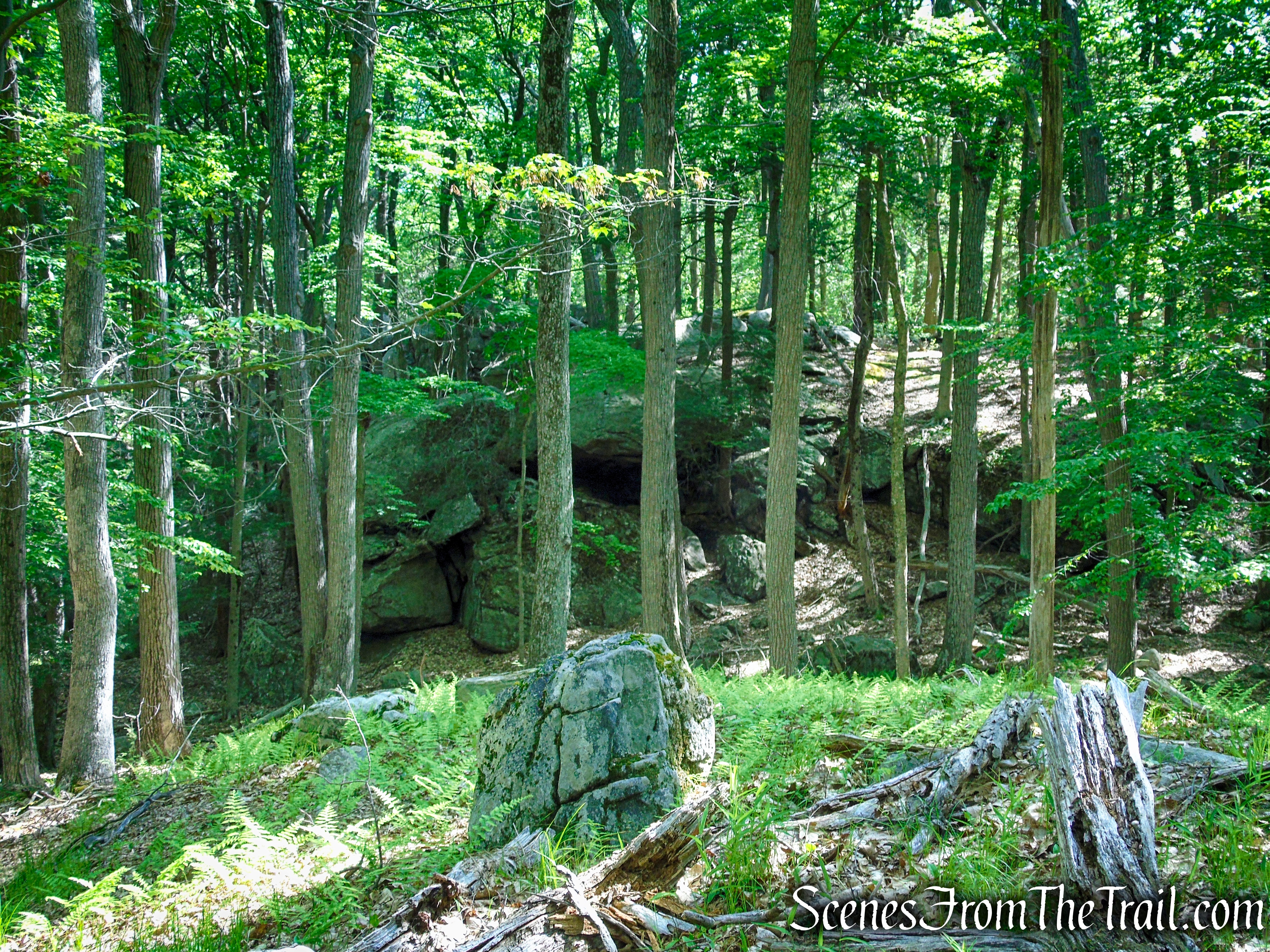 Appalachian Trail - Fingerboard Mountain