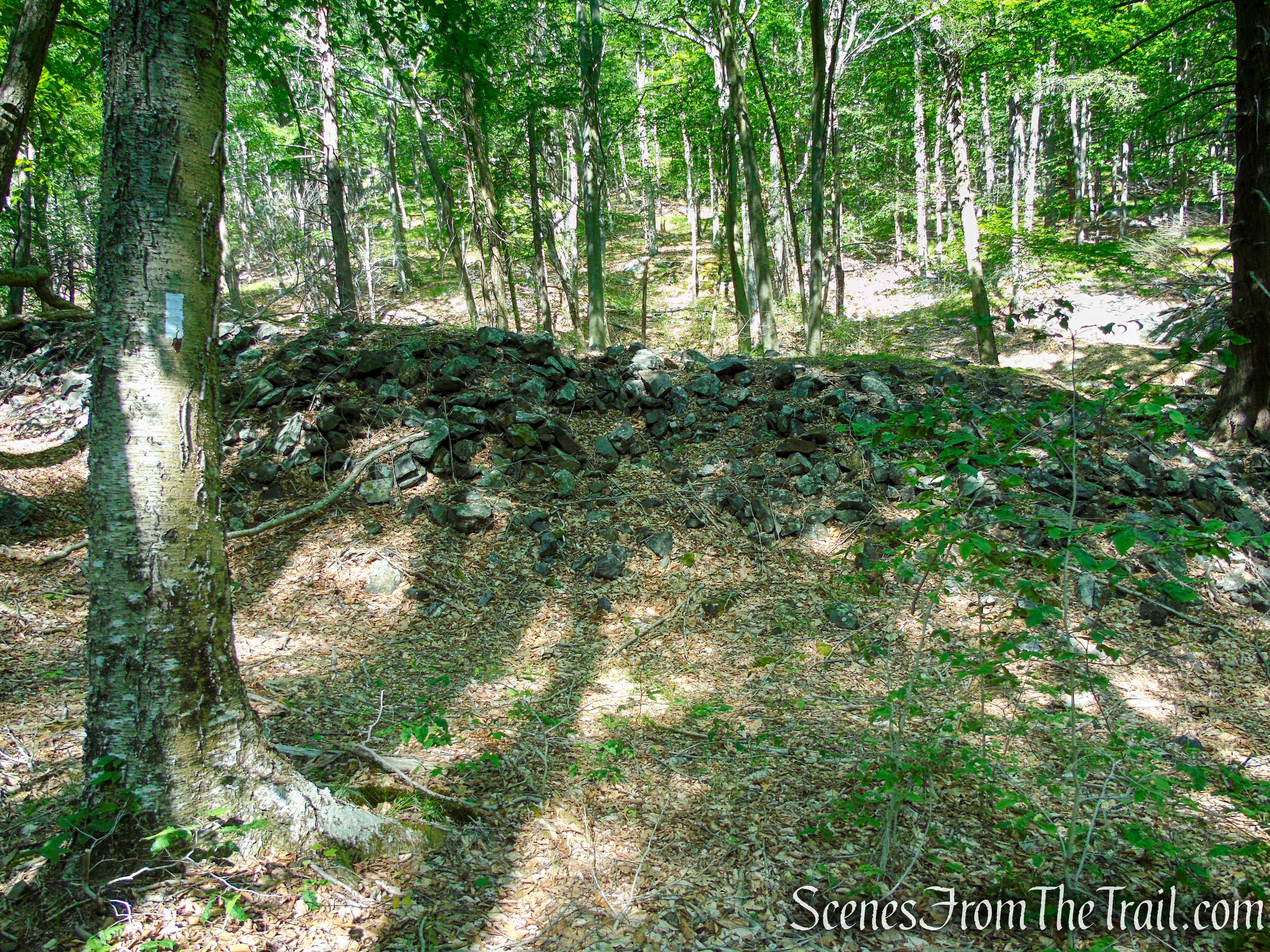 Appalachian Trail - Fingerboard Mountain