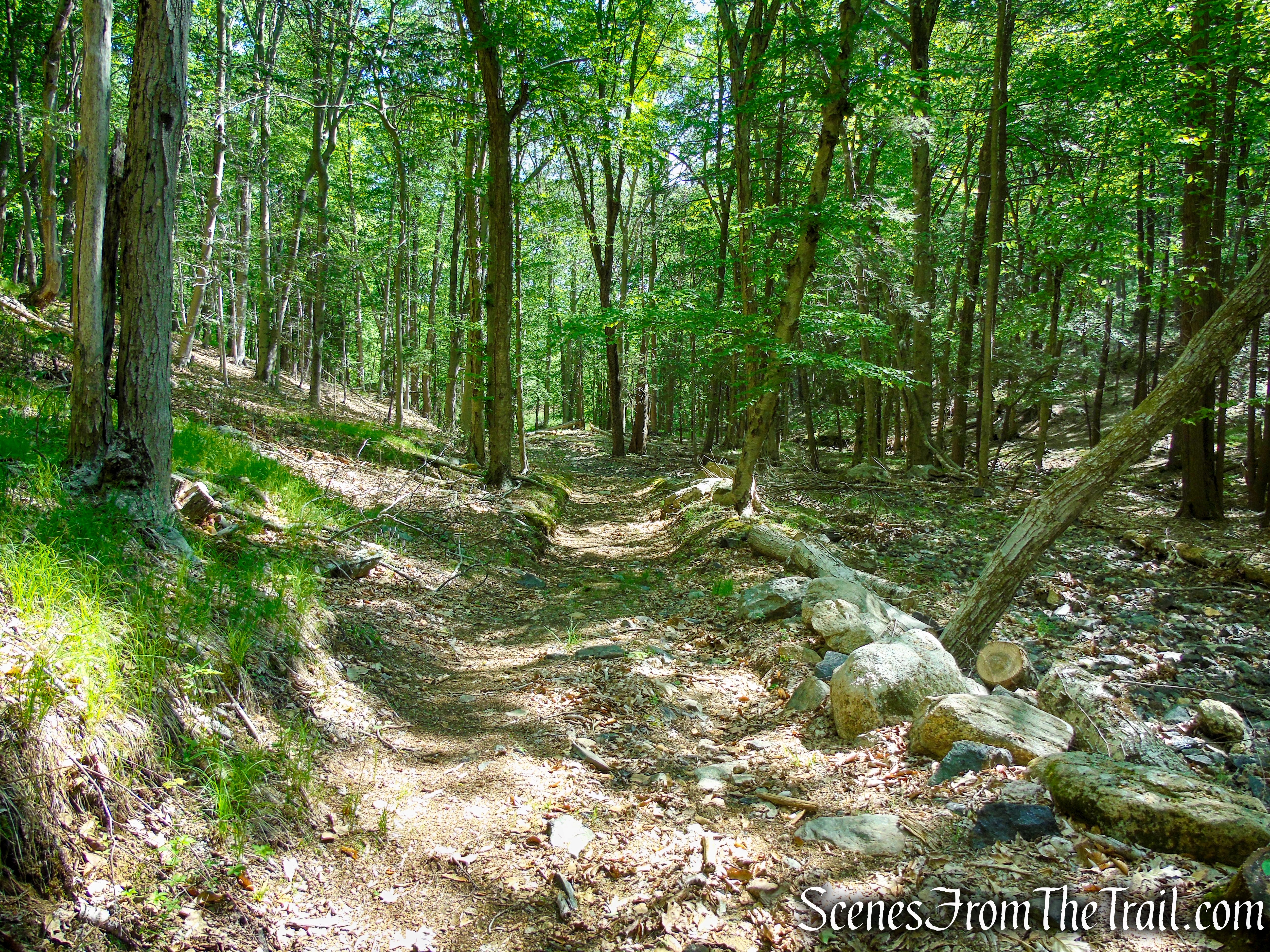 Surebridge Mine Road - Harriman State Park