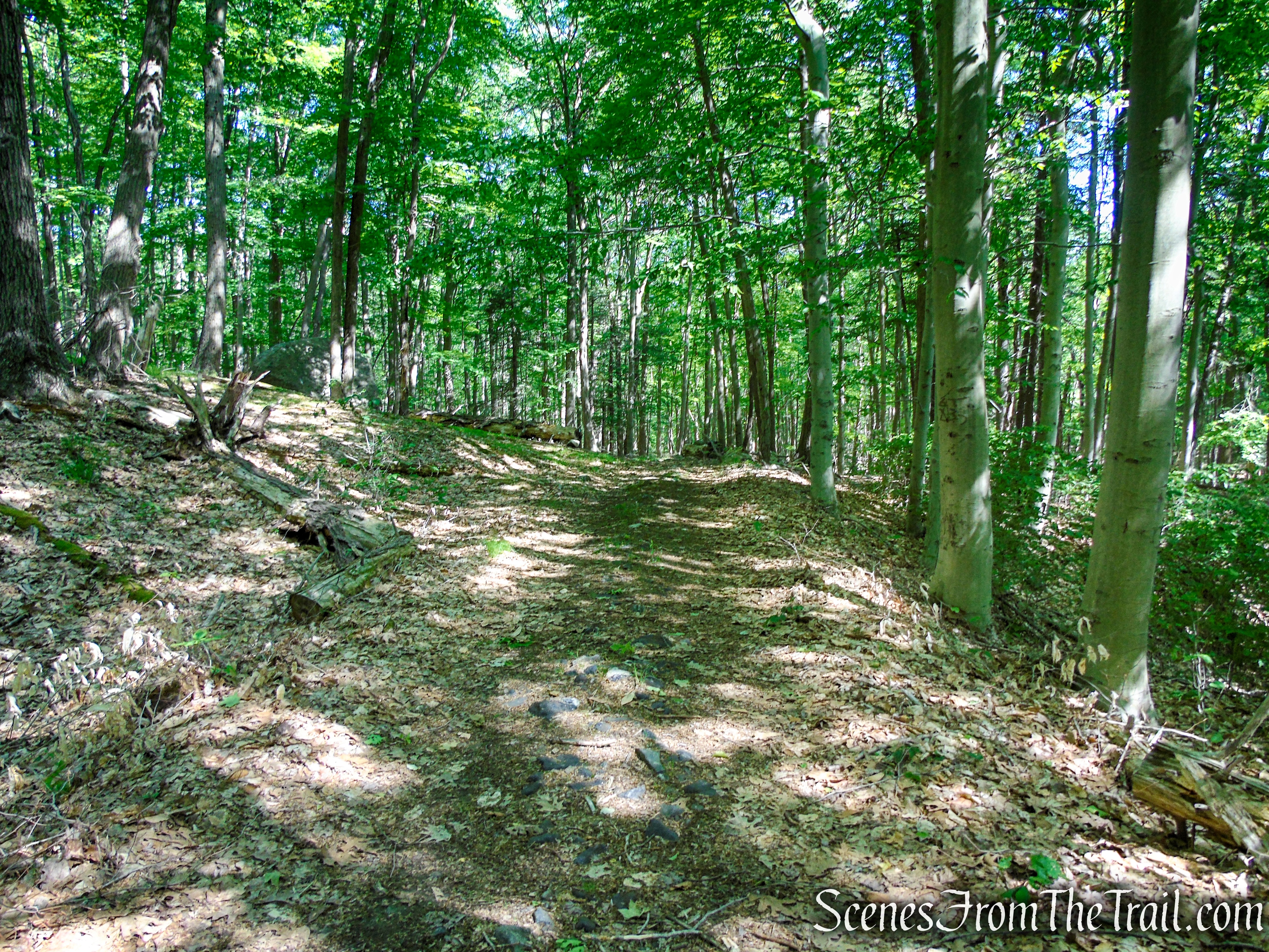 Surebridge Mine Road - Harriman State Park