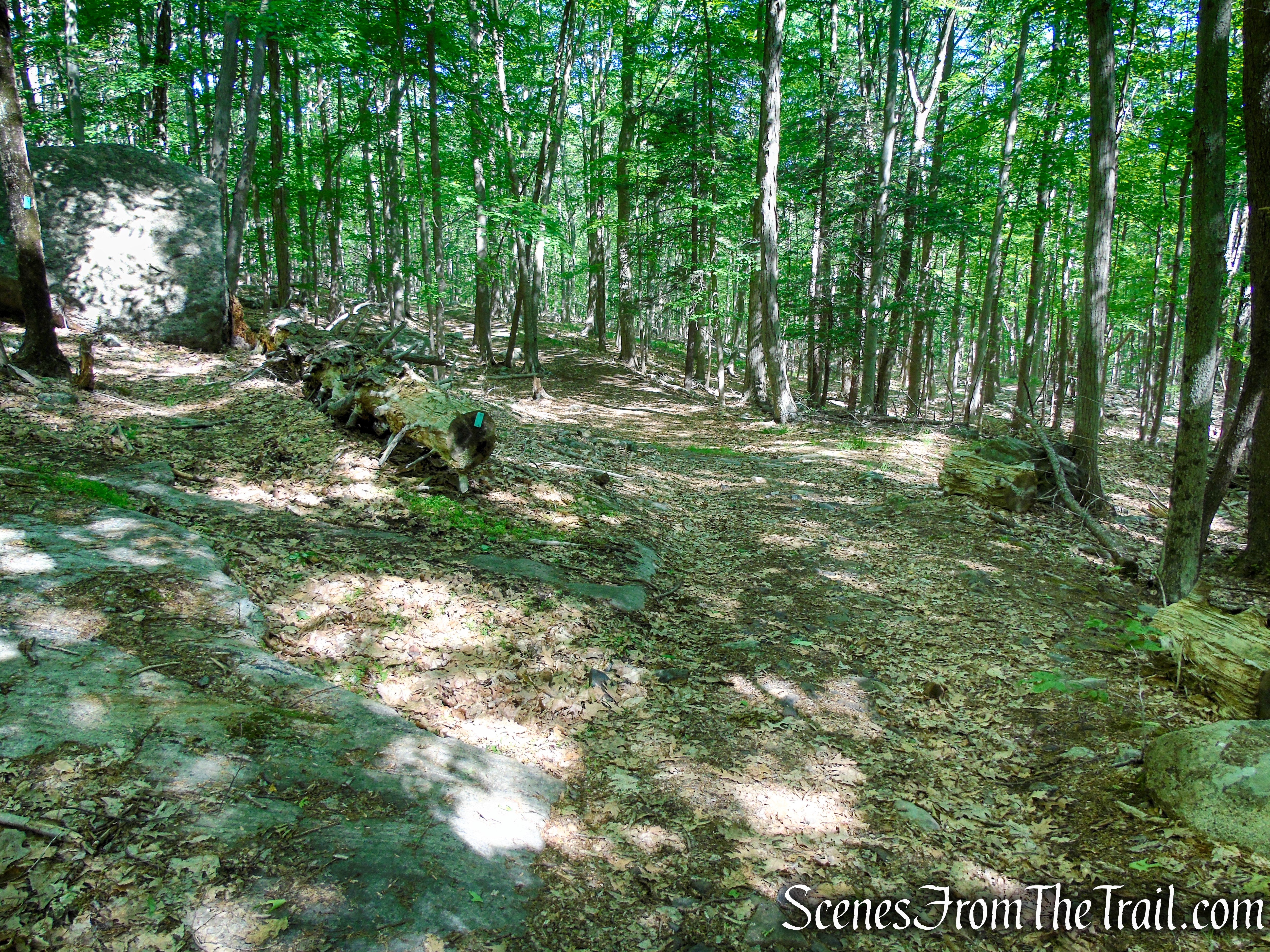 Turn left on the Long Path