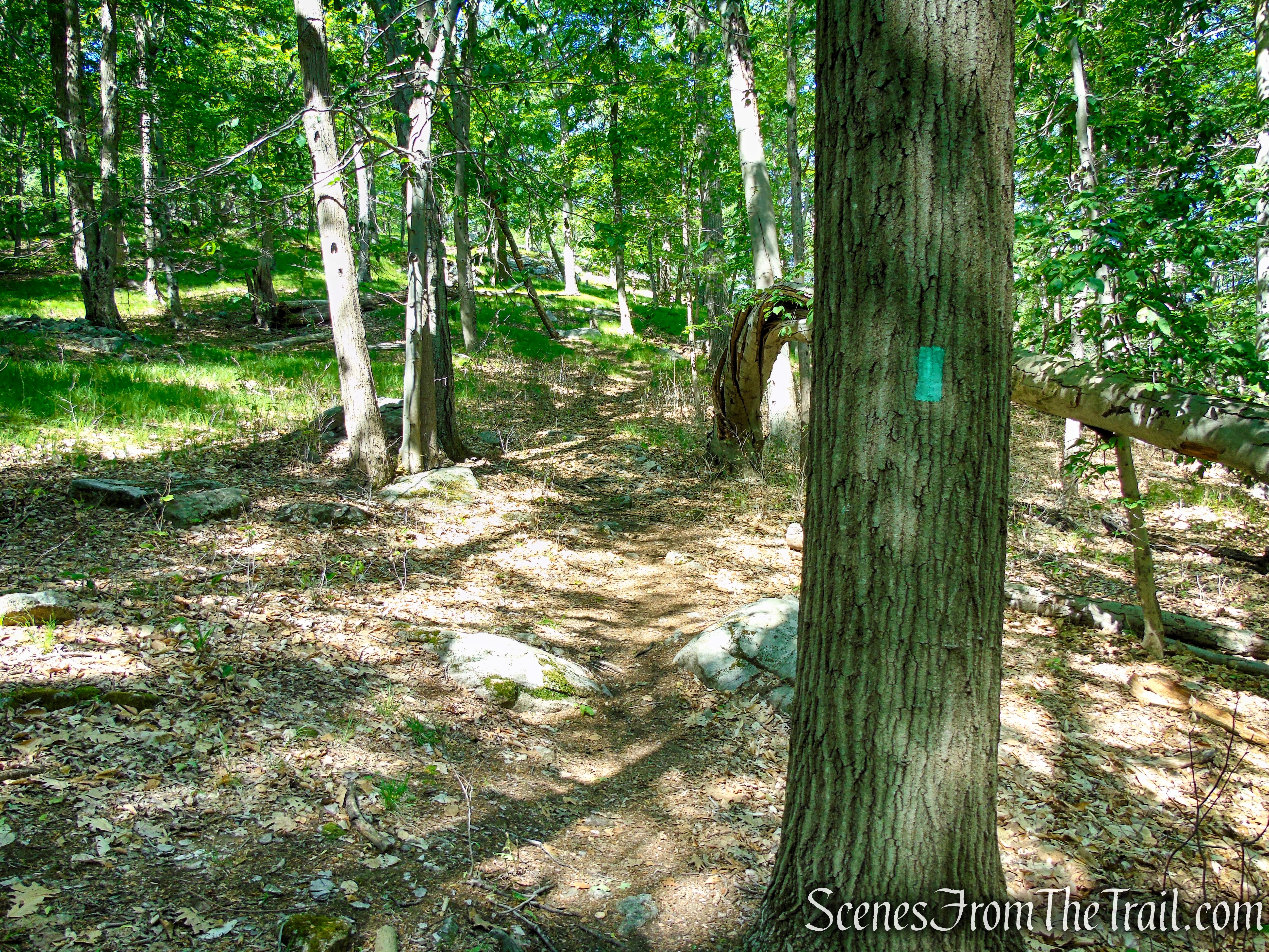 Long Path - Harriman State Park