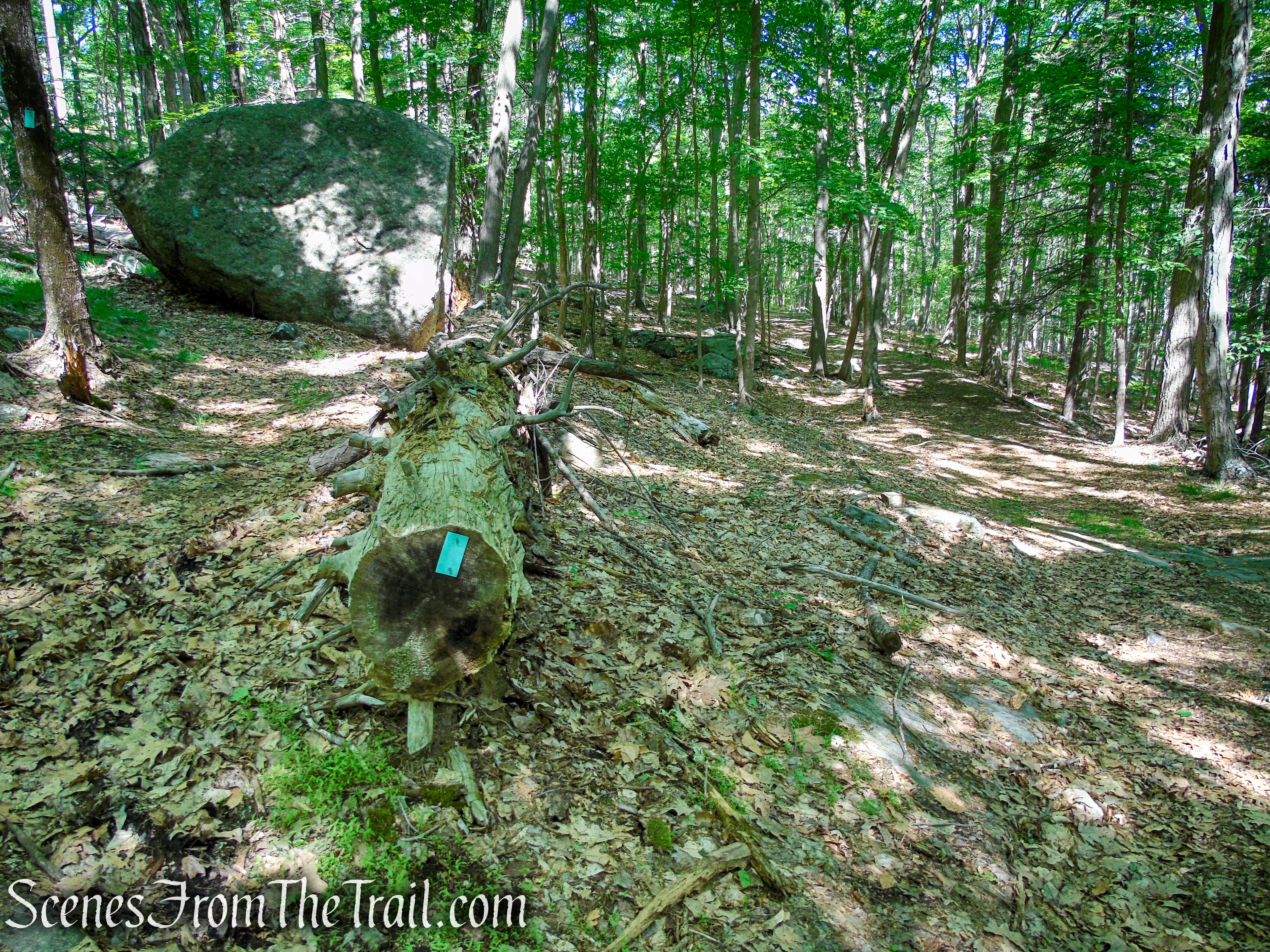 Turn left on the Long Path