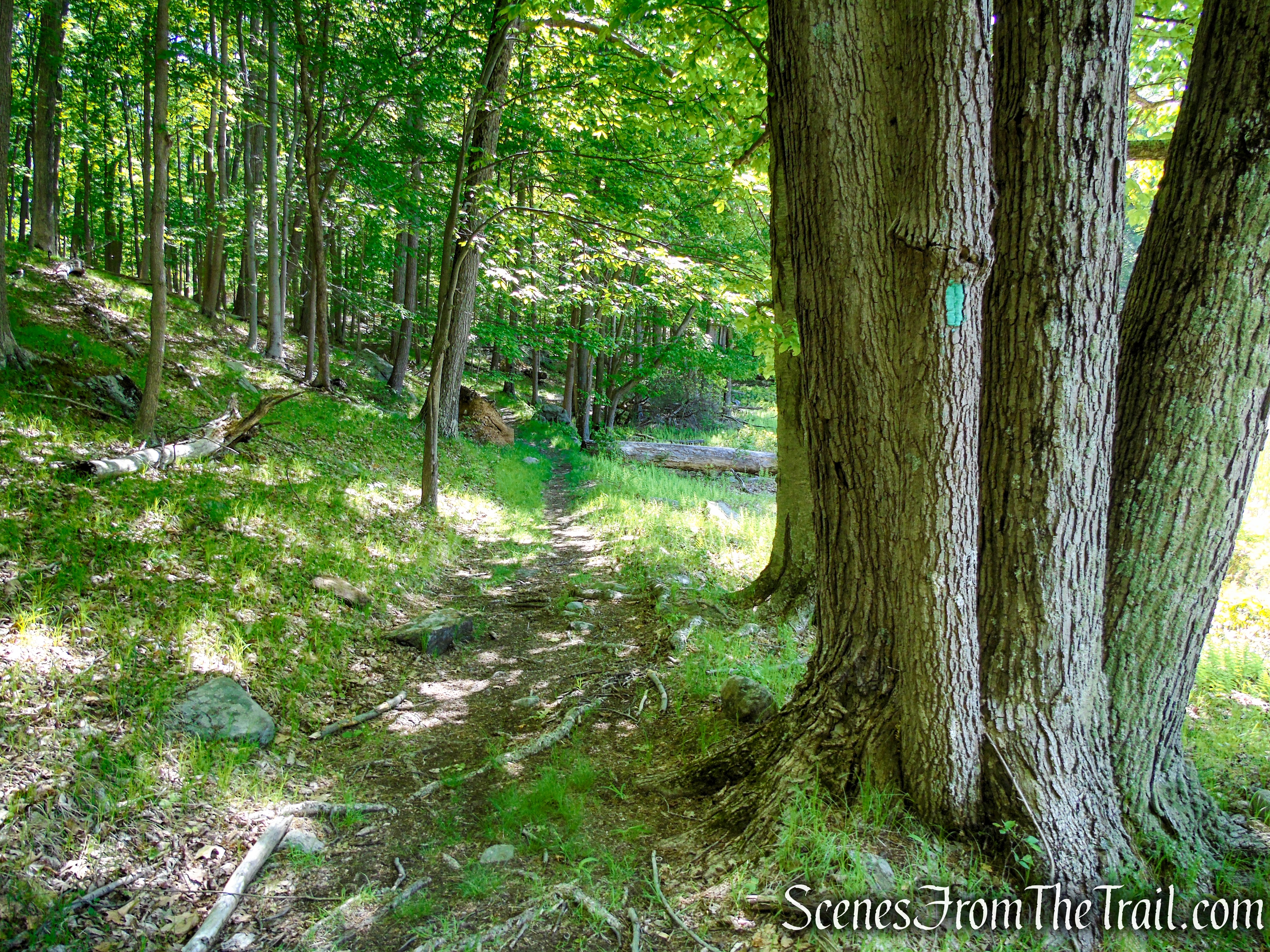 Long Path - Harriman State Park