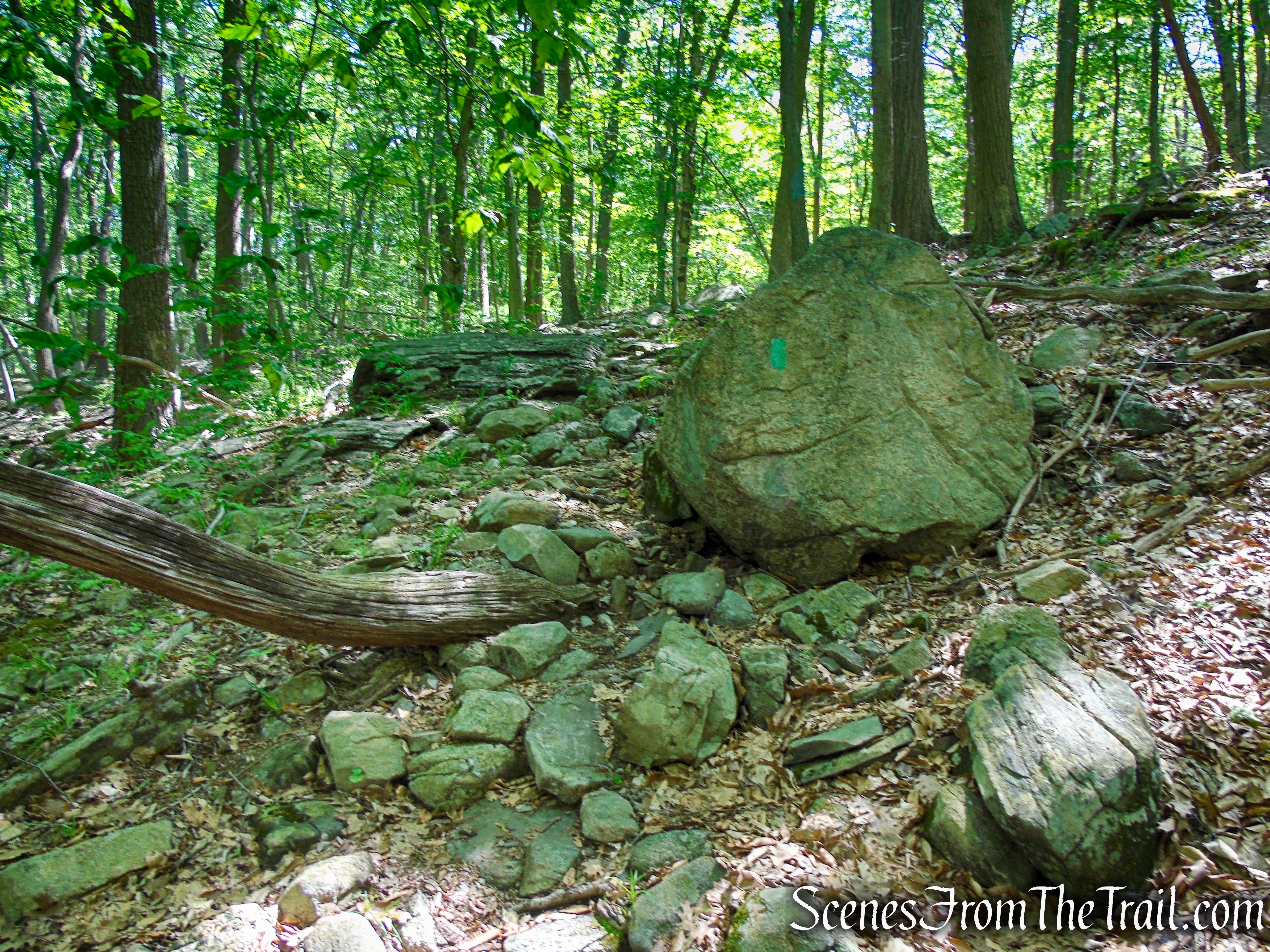 Long Path - Harriman State Park