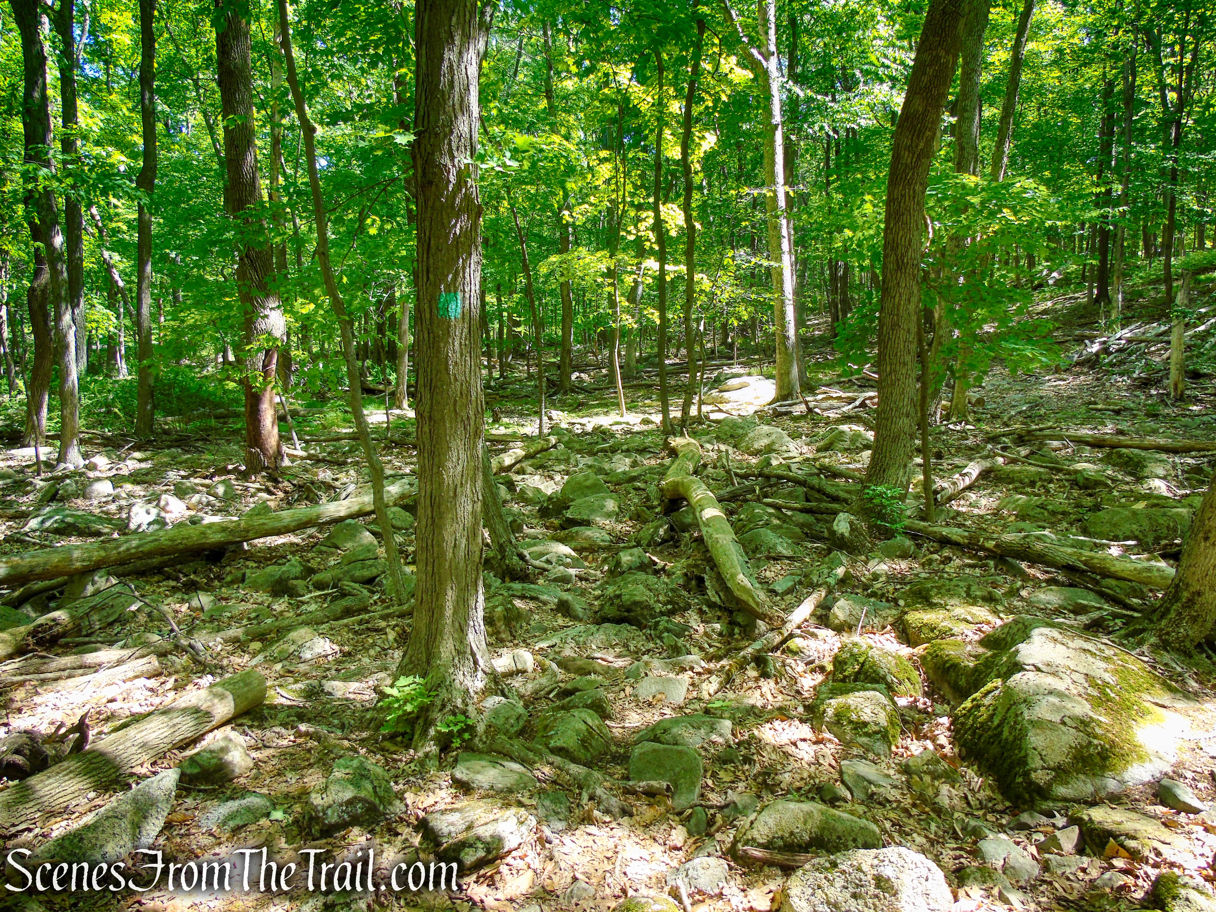 Long Path - Harriman State Park