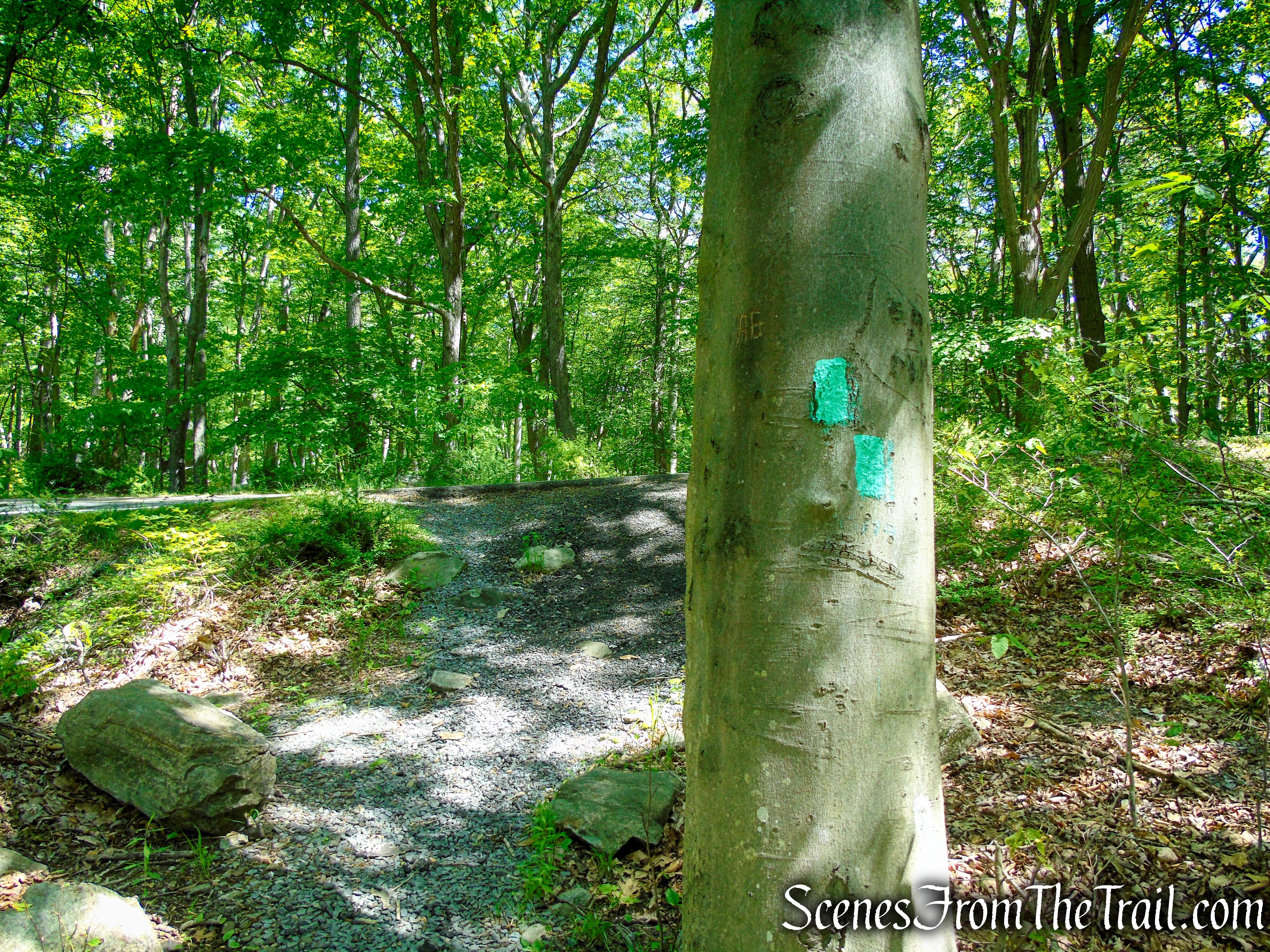 Turn right on Arden Valley Road