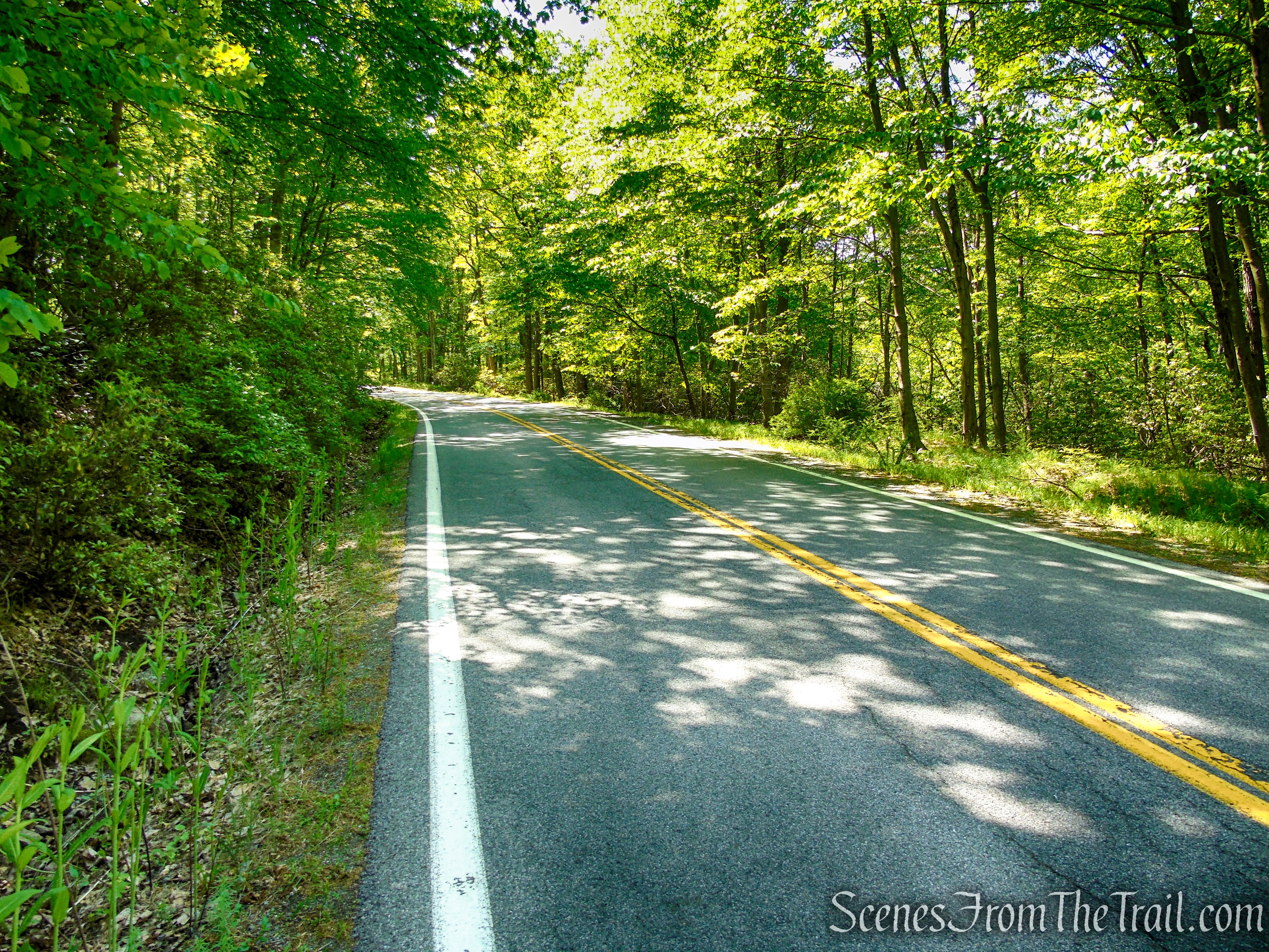 Arden Valley Road - Harriman State Park