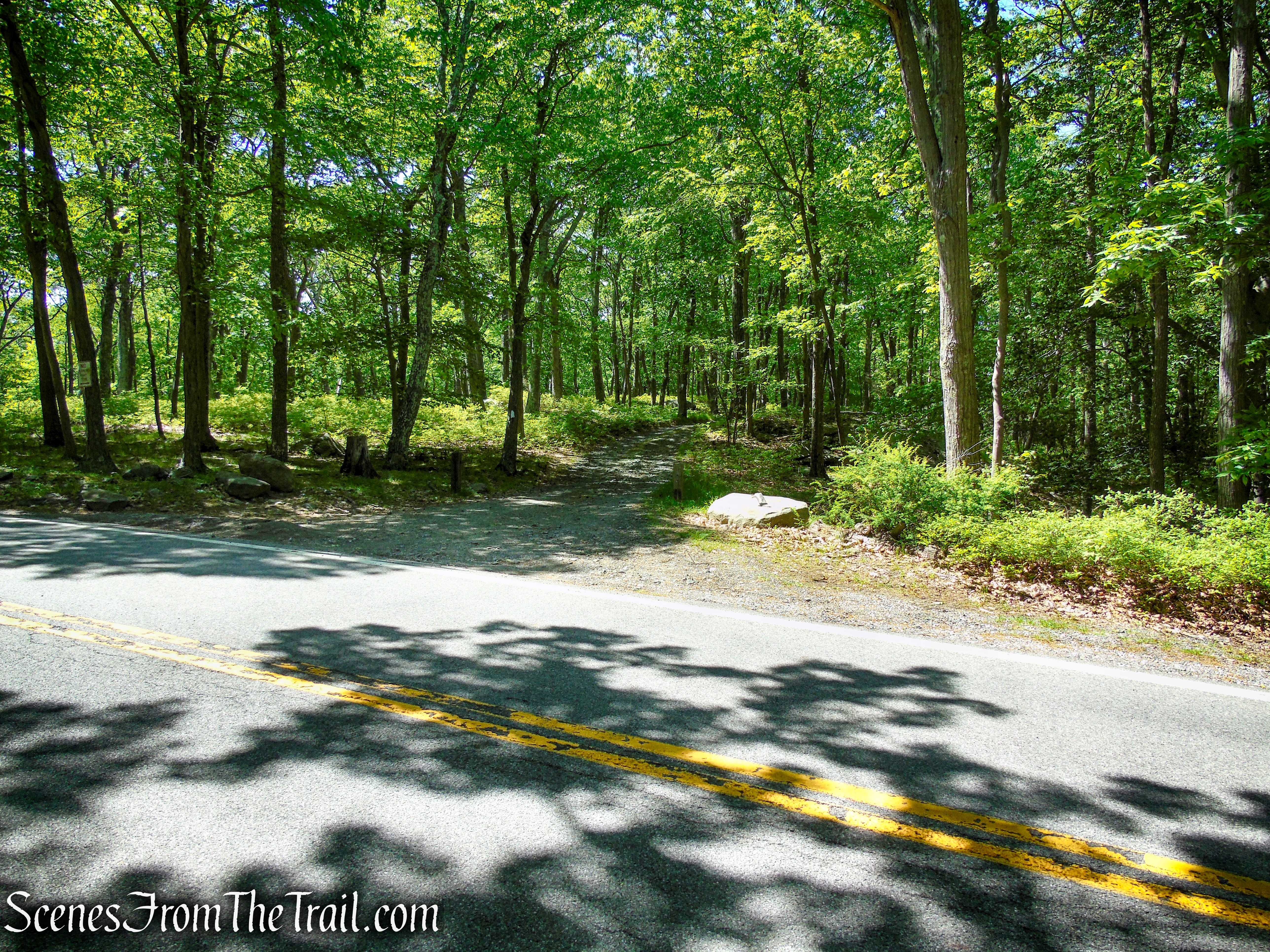Turn right on the coaligned AT/R-D trails - Fingerboard Mountain