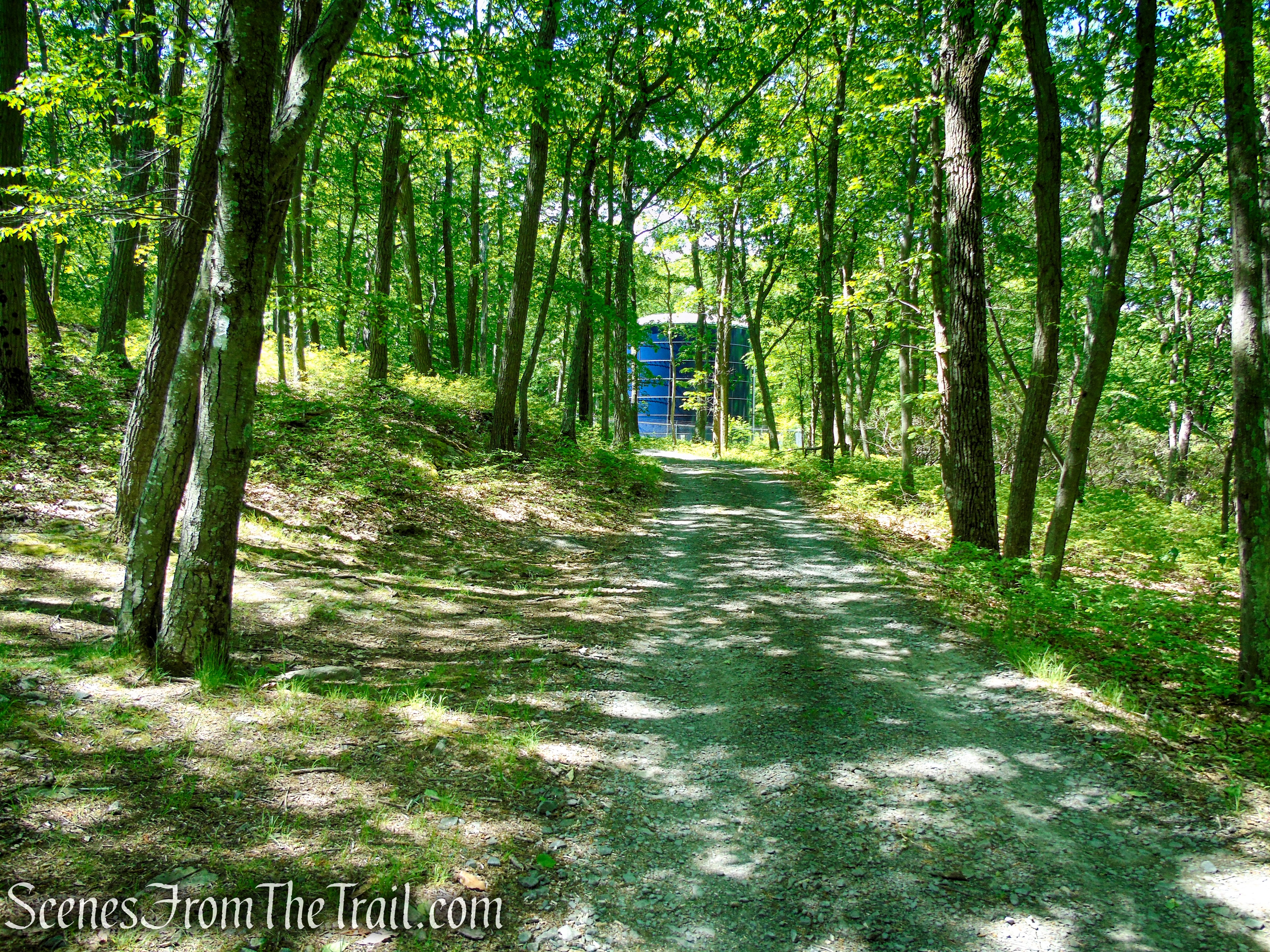 Coaligned AT/R-D trails - Fingerboard Mountain