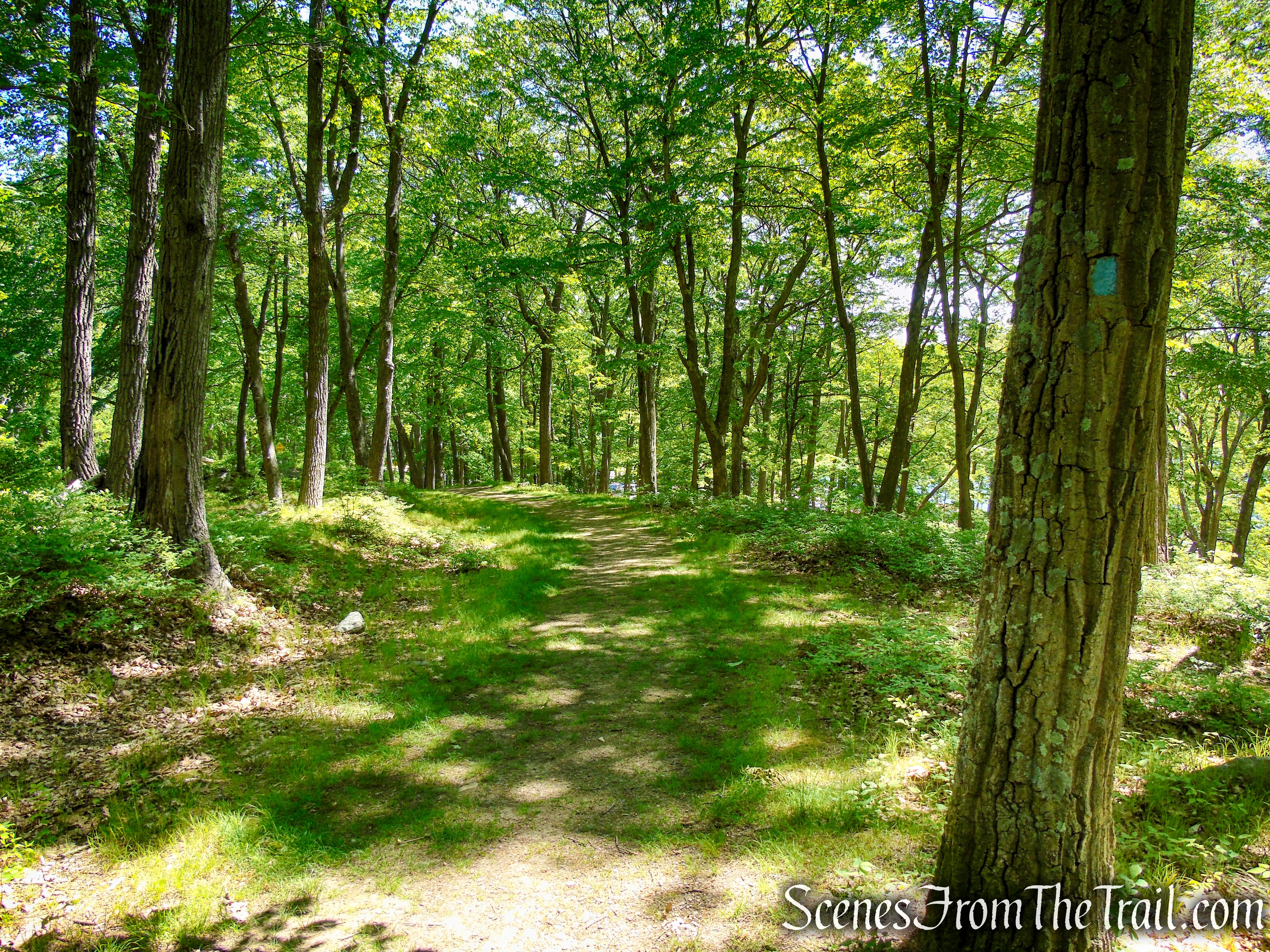 Lake Tiorati Trail - Harriman State Park