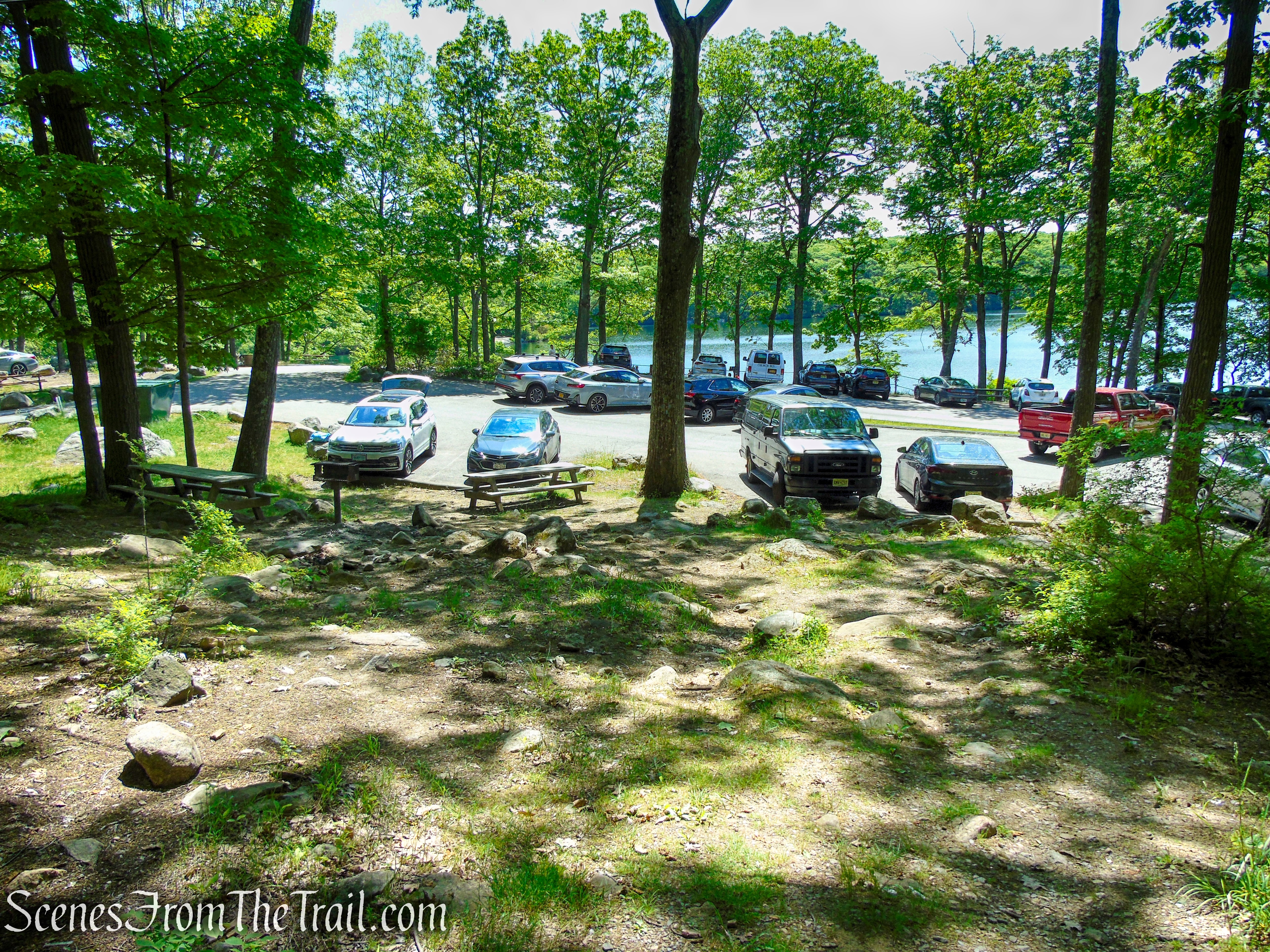 Lake Tiorati Picnic Area
