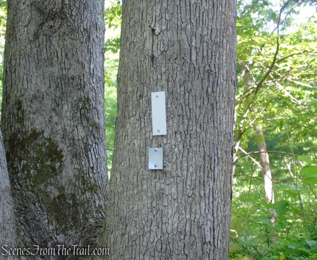 Appalachian Trail - West Mountain