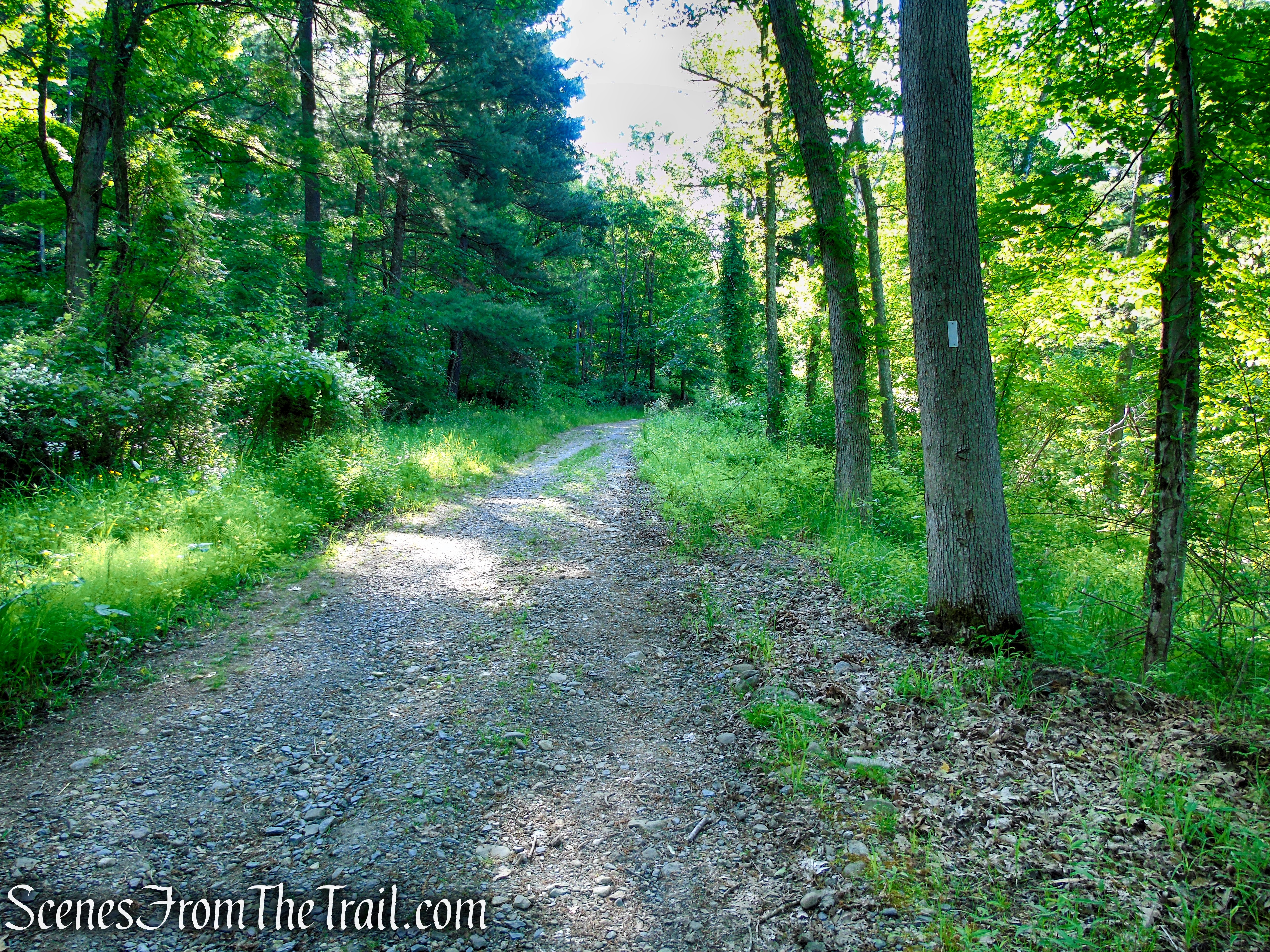 Appalachian Trail - West Mountain