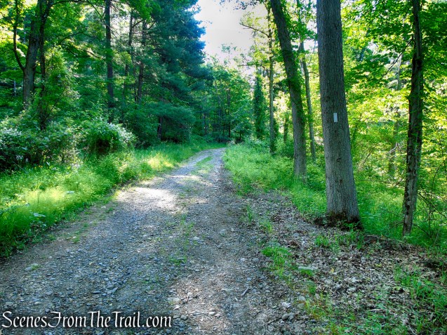 Appalachian Trail - West Mountain