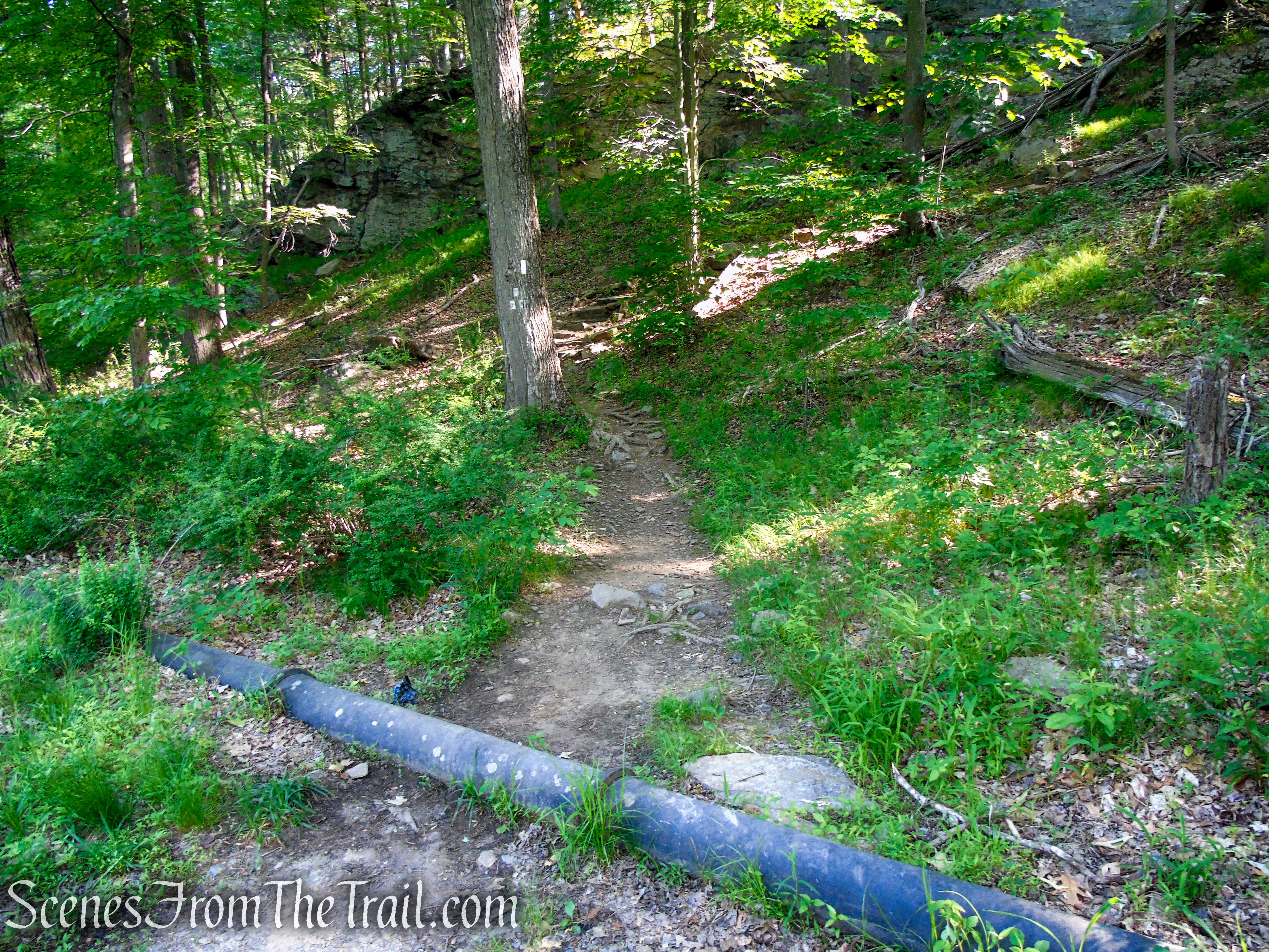 Appalachian Trail - West Mountain