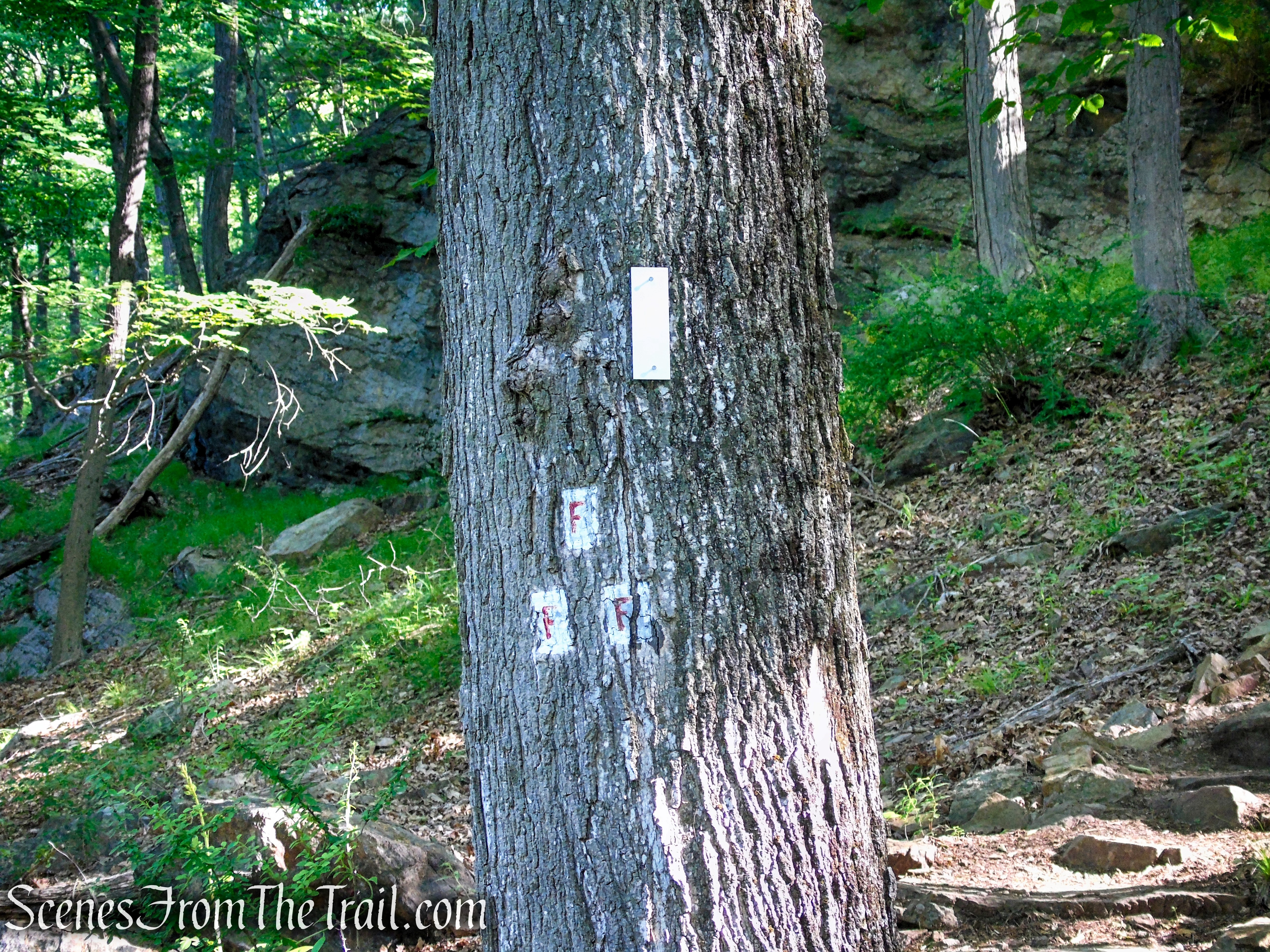 Appalachian Trail - West Mountain