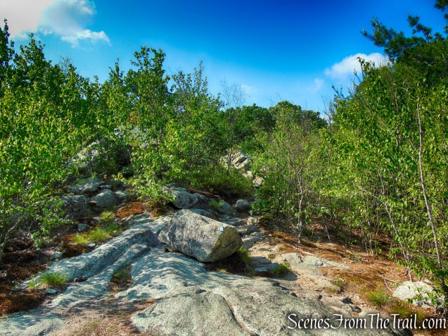 Coaligned AT/Timp-Torne Trails – West Mountain