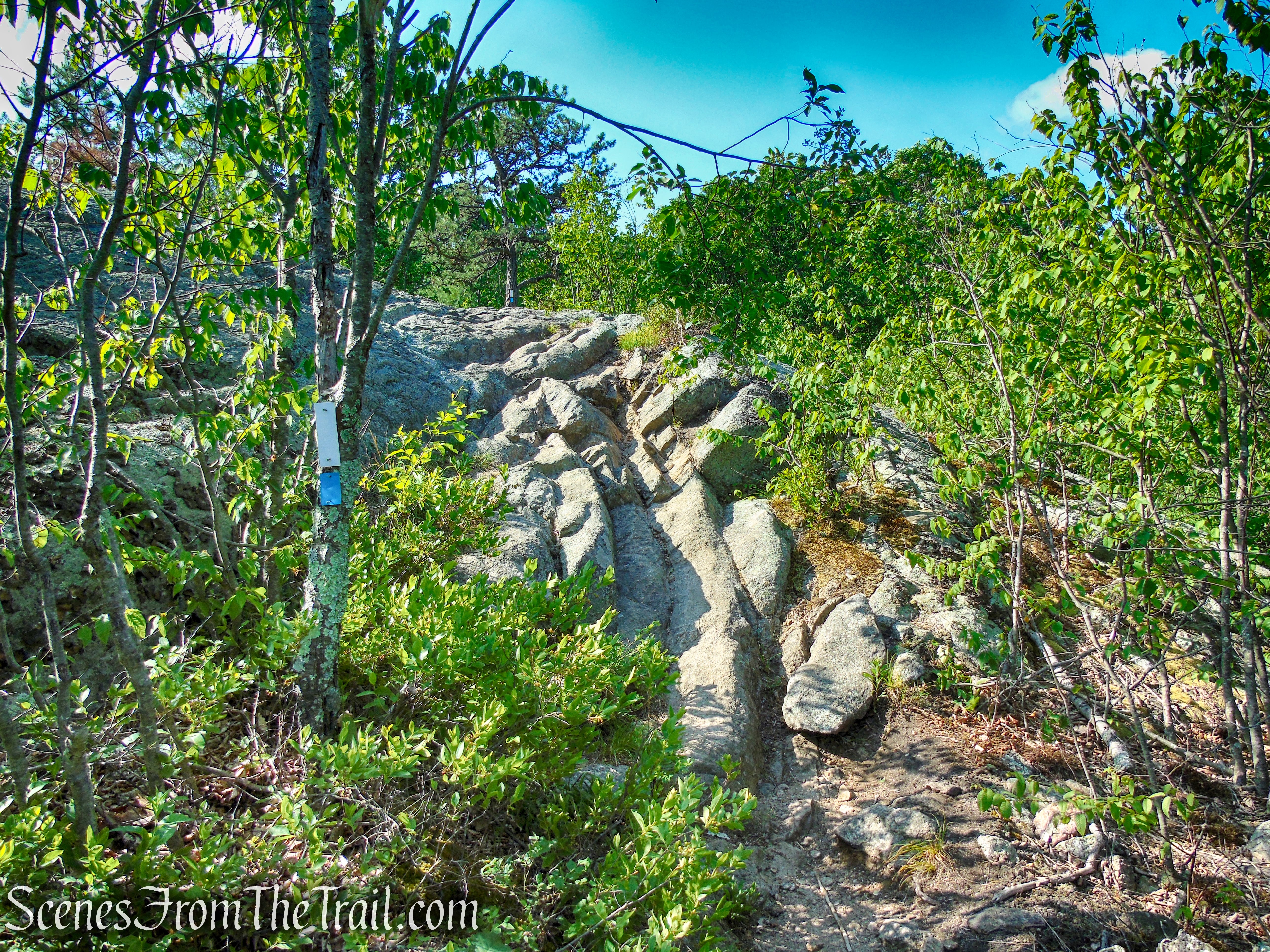 Coaligned AT/Timp-Torne Trails – West Mountain