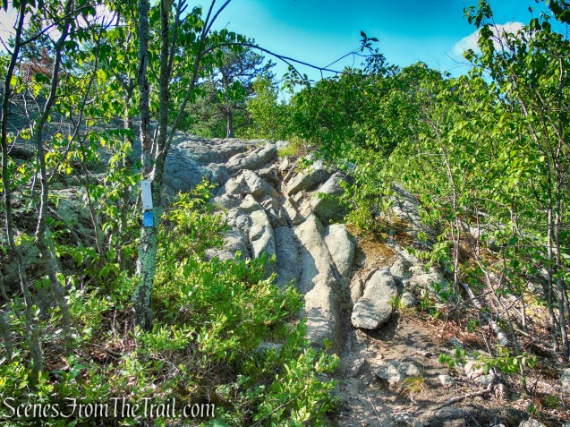 Coaligned AT/Timp-Torne Trails – West Mountain