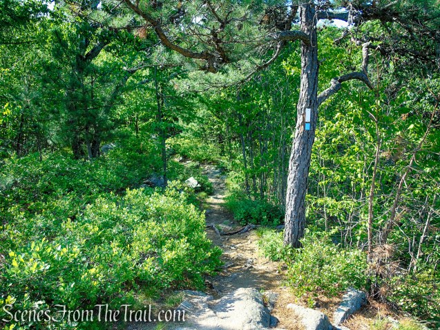 Coaligned AT/Timp-Torne Trails – West Mountain