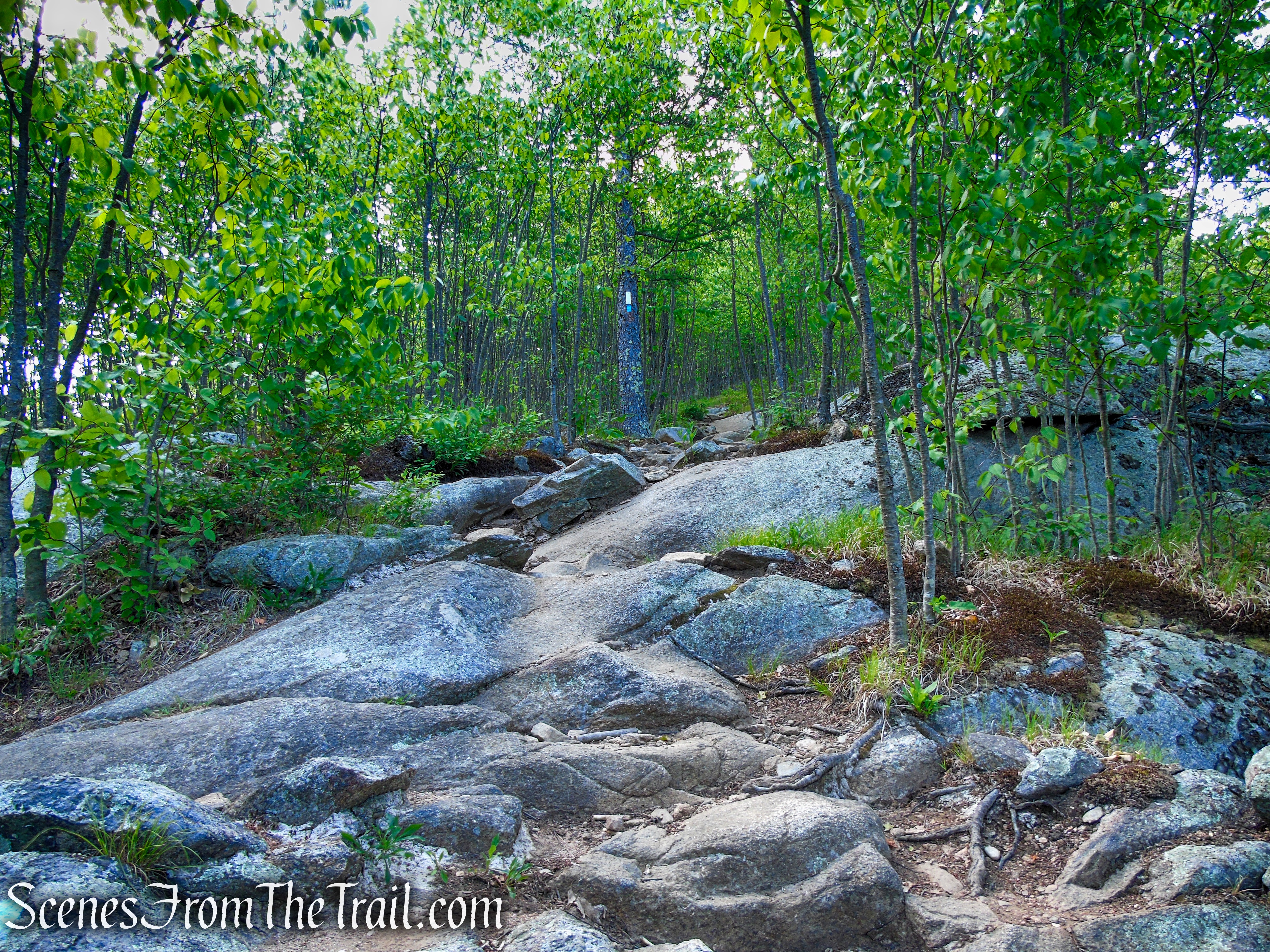 Coaligned AT/Timp-Torne Trails – West Mountain