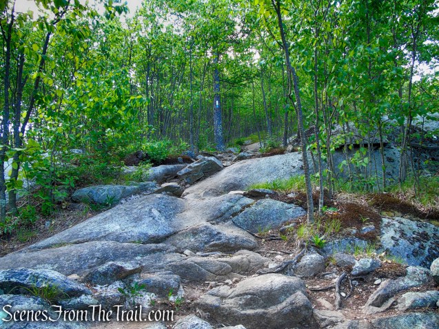 Coaligned AT/Timp-Torne Trails – West Mountain