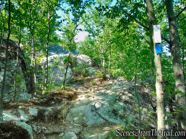 Coaligned AT/Timp-Torne Trails – West Mountain