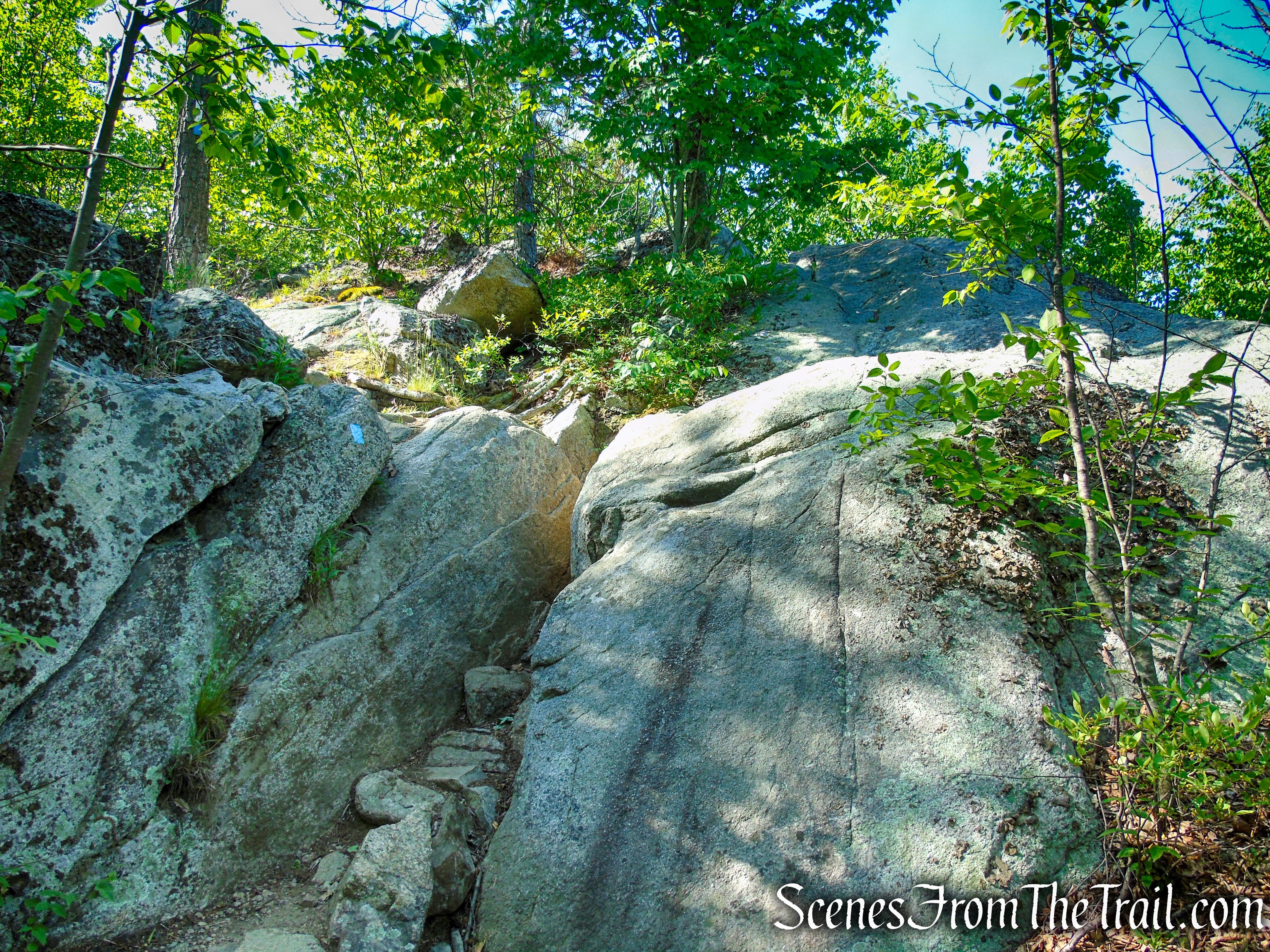 Coaligned AT/Timp-Torne Trails – West Mountain