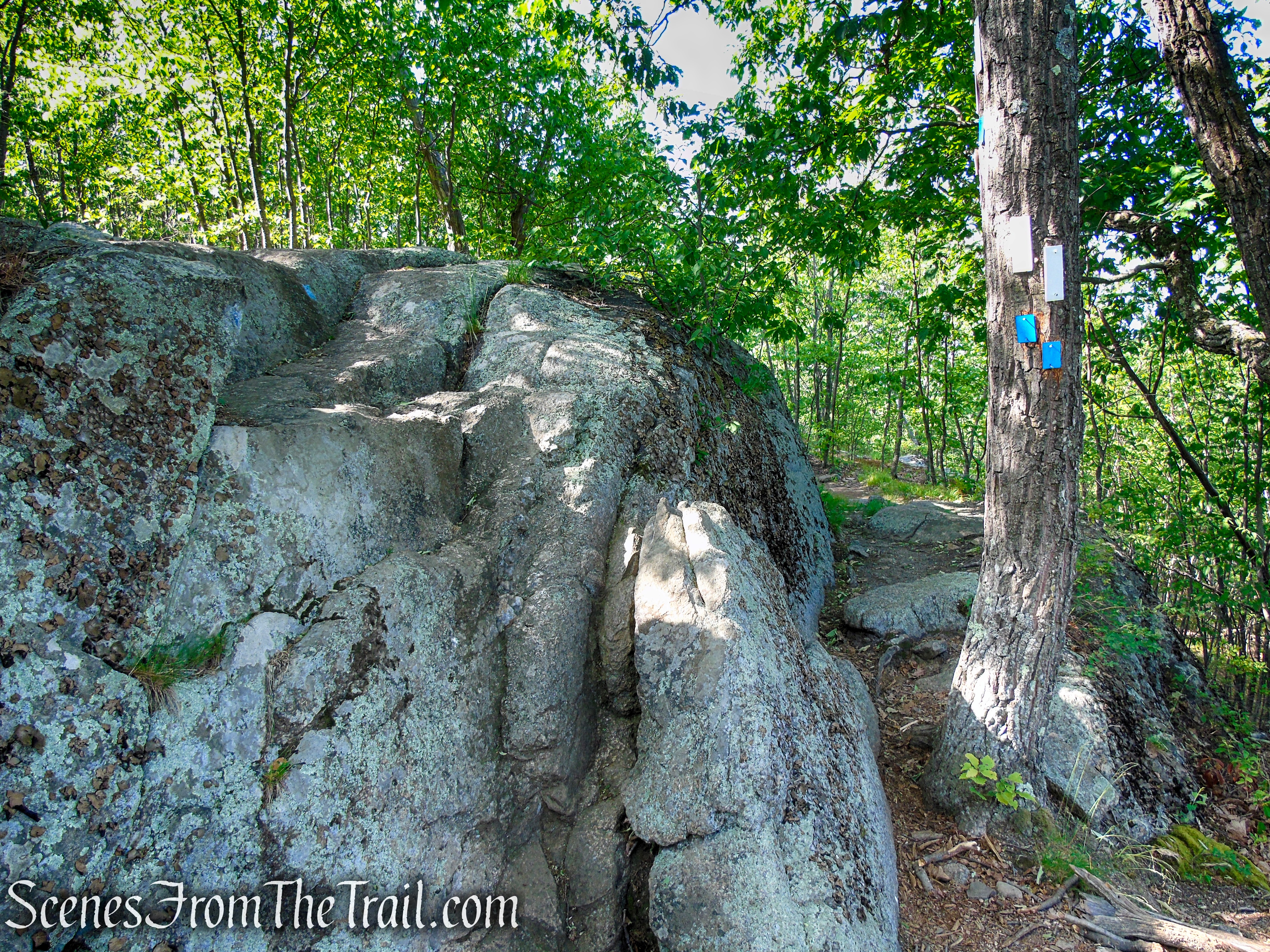 Coaligned AT/Timp-Torne Trails – West Mountain