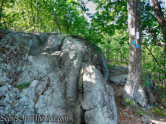Coaligned AT/Timp-Torne Trails – West Mountain