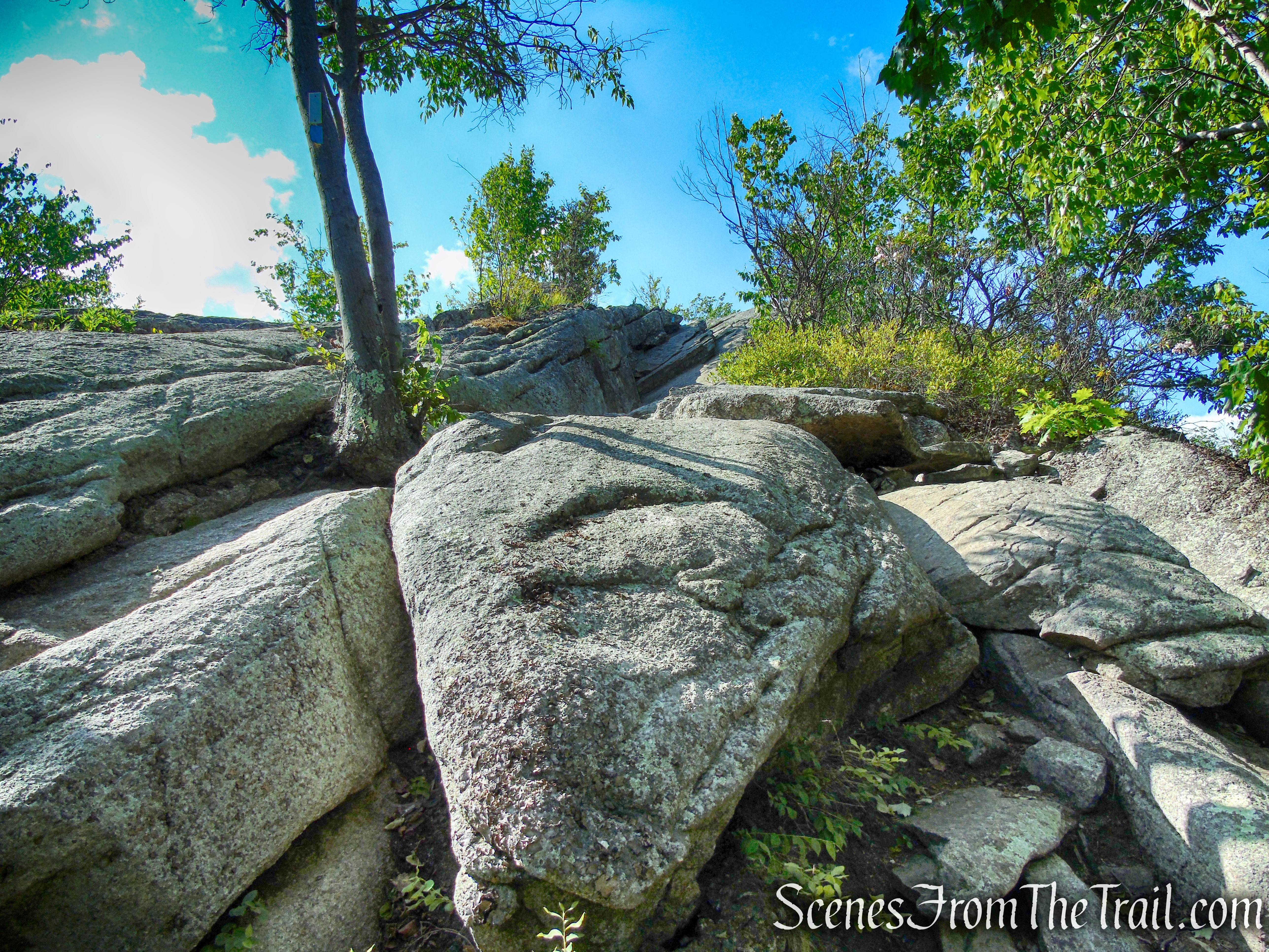 Coaligned AT/Timp-Torne Trails – West Mountain